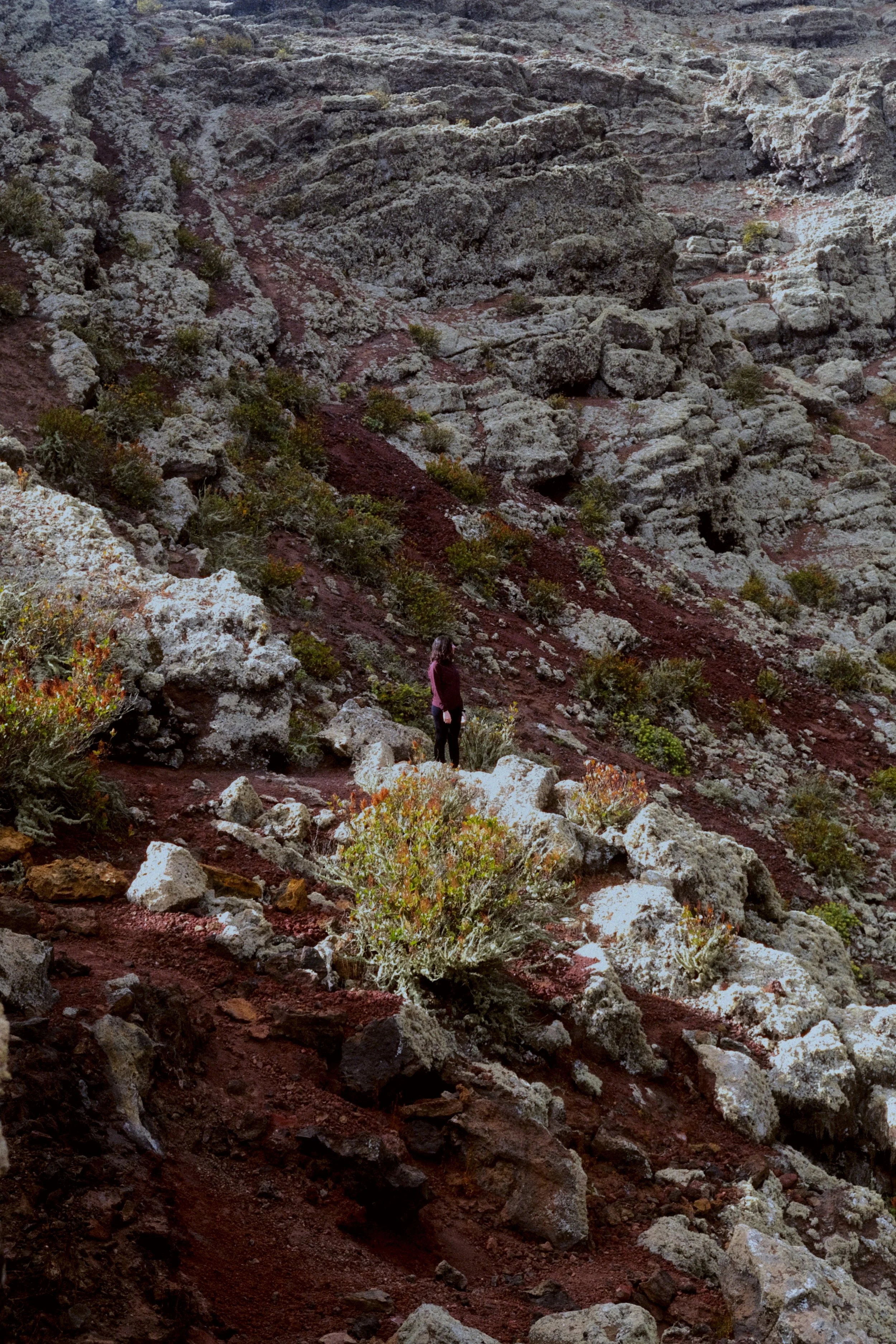 Volcán de la Corona - Lanzarote