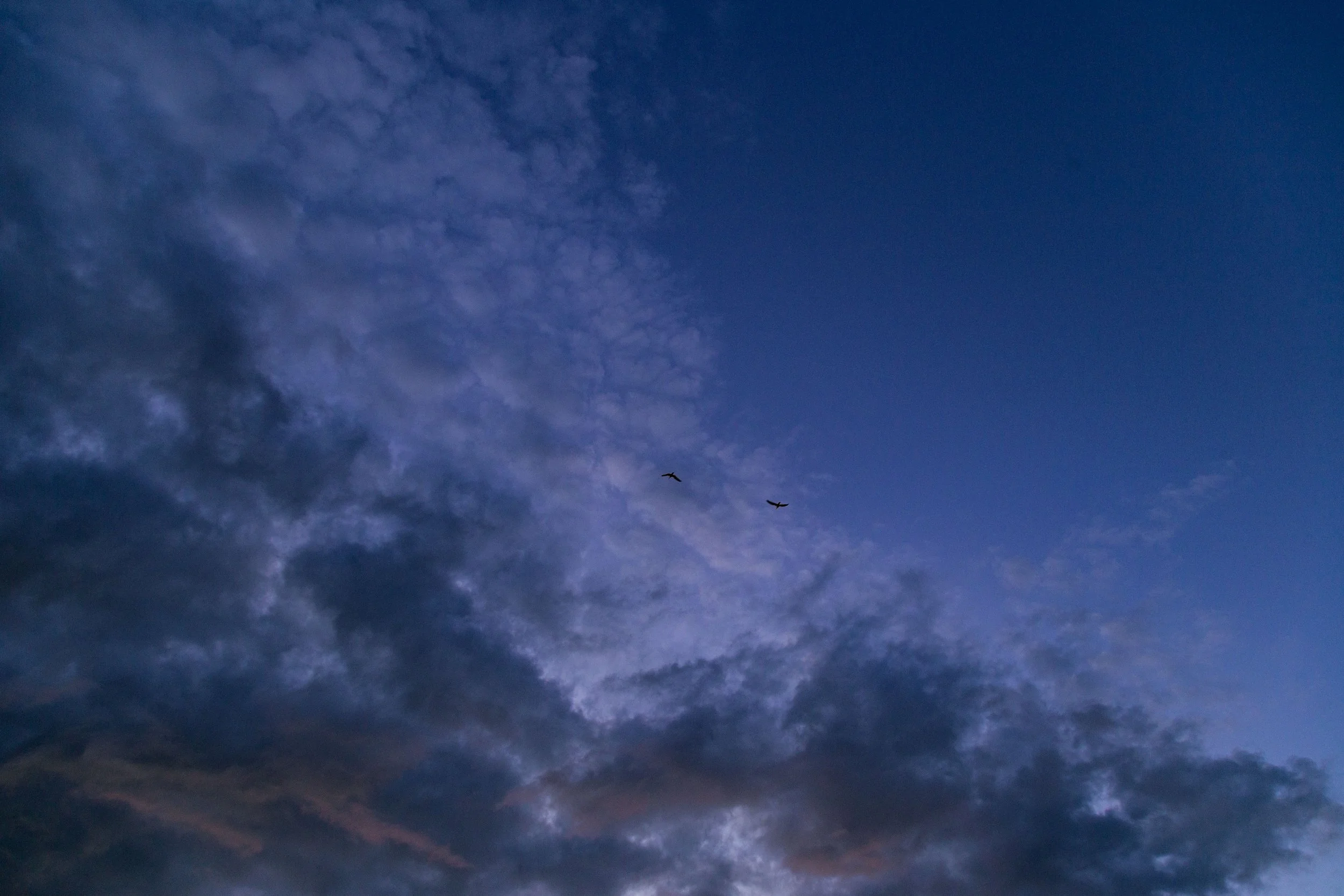 Ciel bleu avec quelques nuages et deux oiseaux volant.