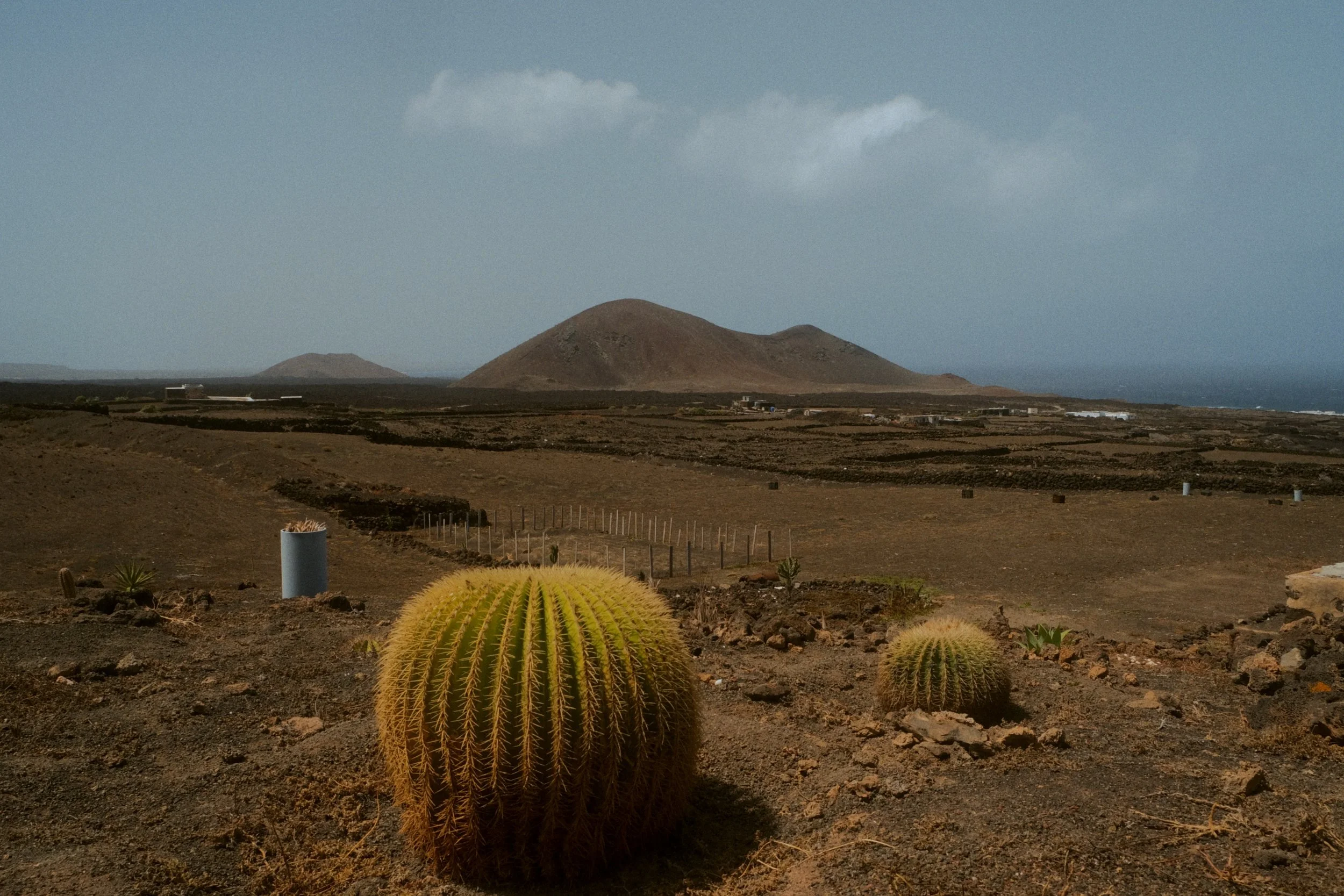 Paysage désertique avec des cactus ronds au premier plan, des collines ocre au centre et un ciel nuageux.