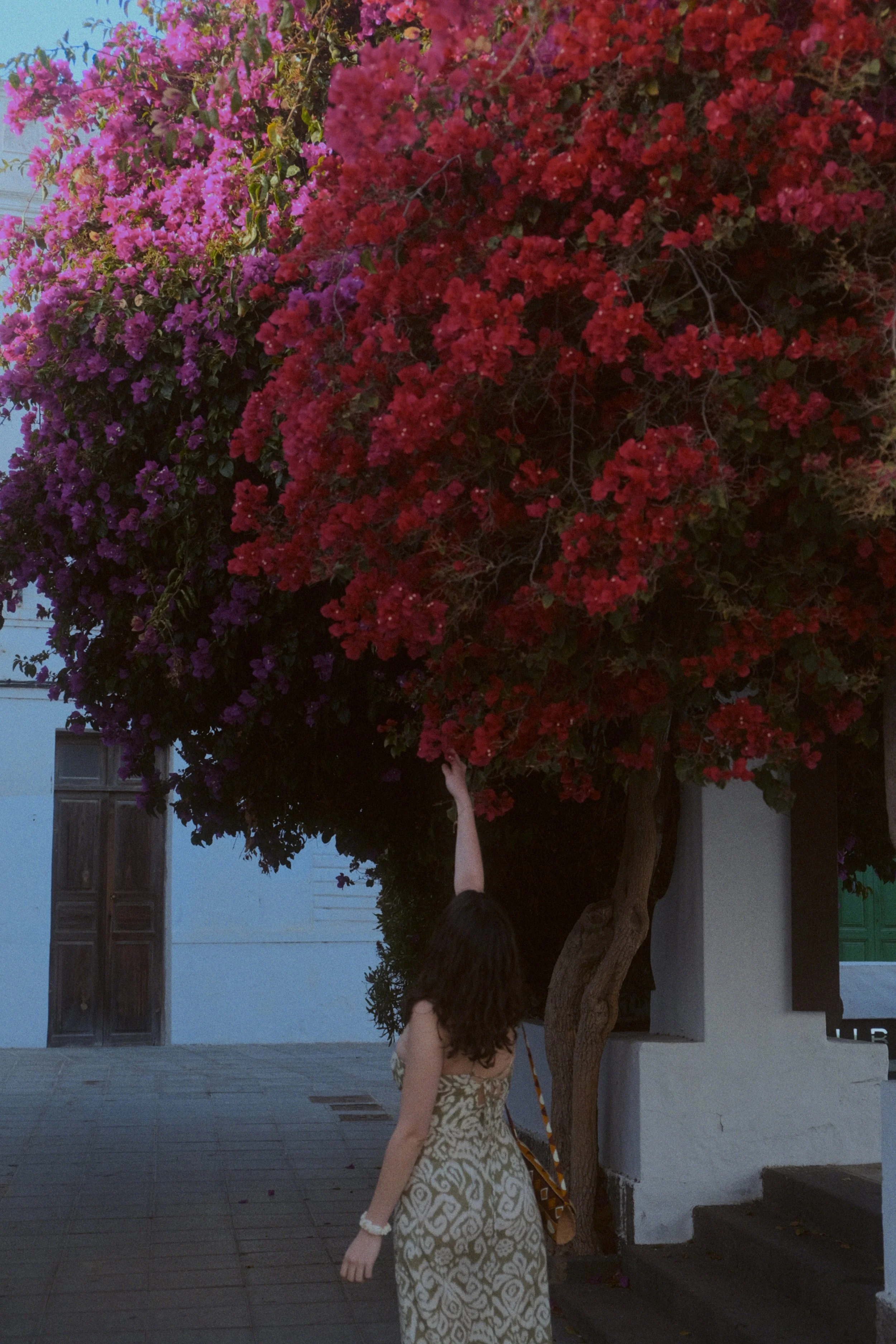 Une jeune fille en robe beige et blanche avec un bracelet, touchant l'arbre en fleurs rouges, dans une cour extérieure.