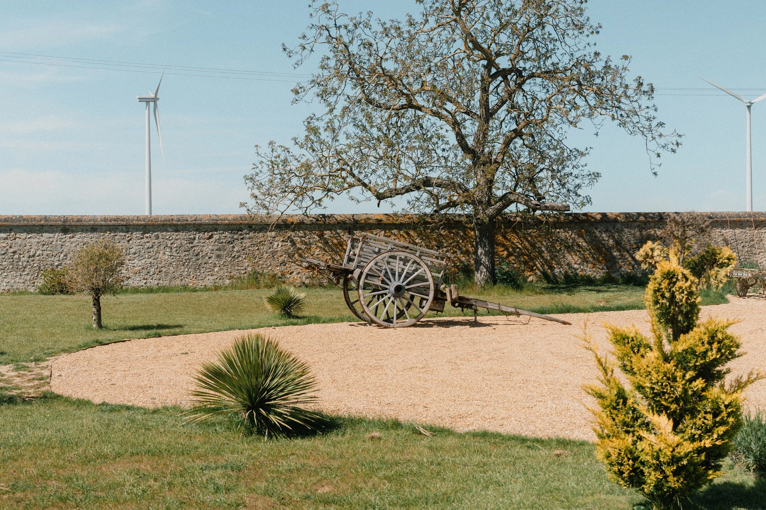 Arbuste verde dans un jardin avec un arbre au centre, un mur en pierre en arrière-plan, et un vieux chariot en bois à côté de l'arbre. Deux éoliennes sont visibles dans le ciel bleu.