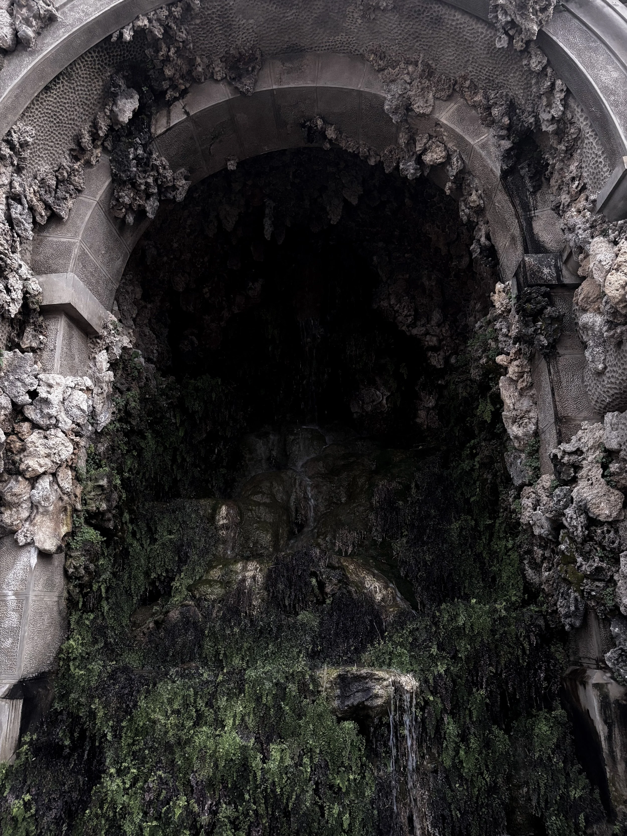 florence italy flower