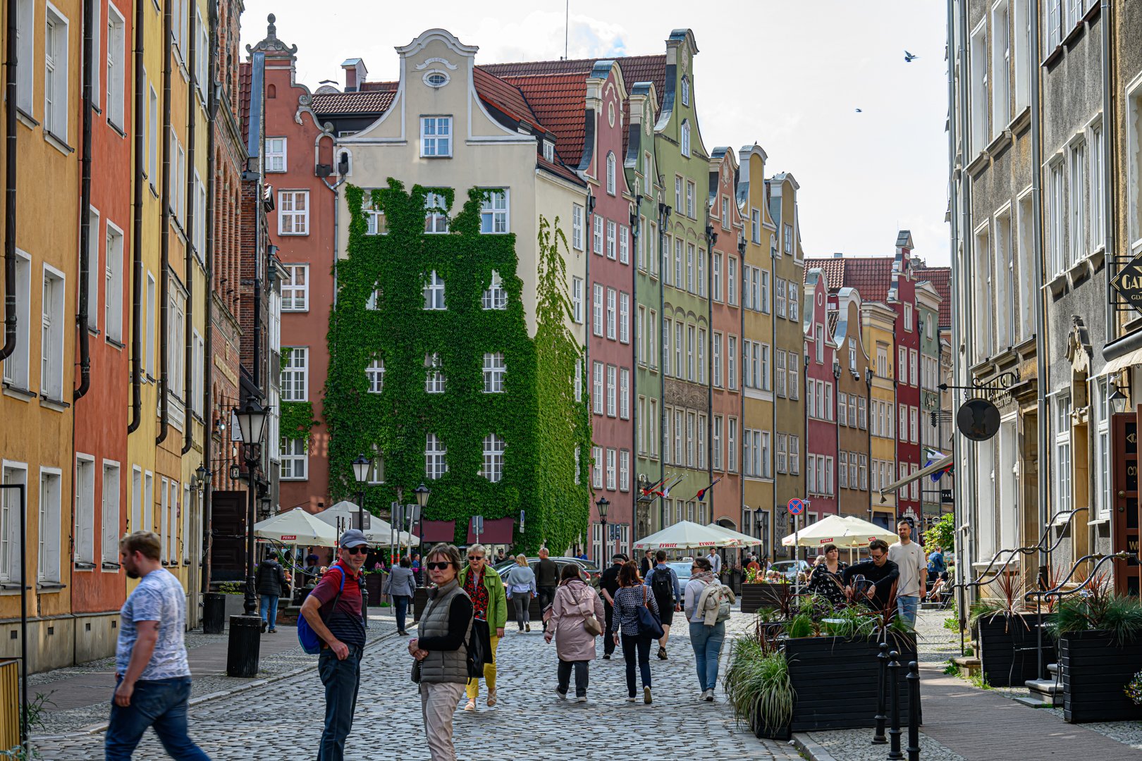 untitled (59 of 274).jpg