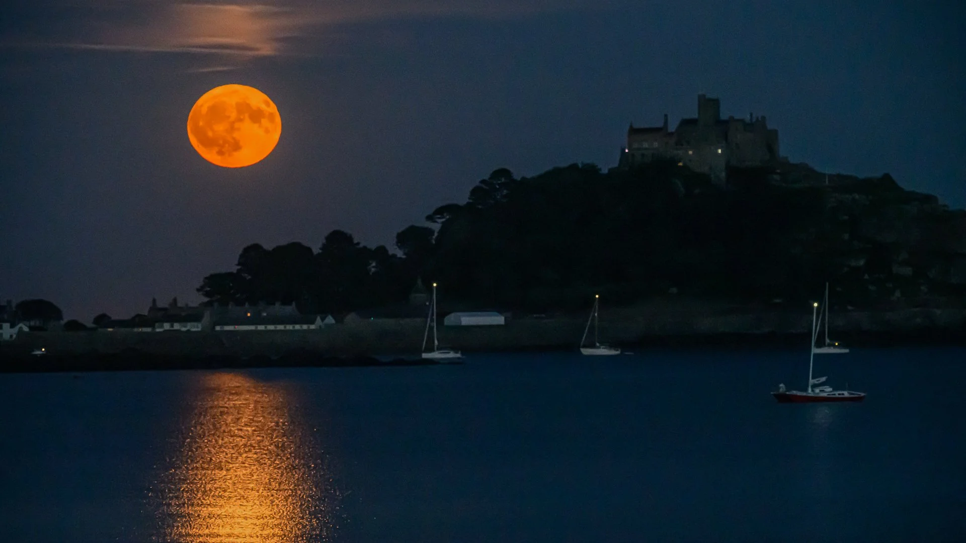 untitled (128 of 176)-Edit-227.jpg