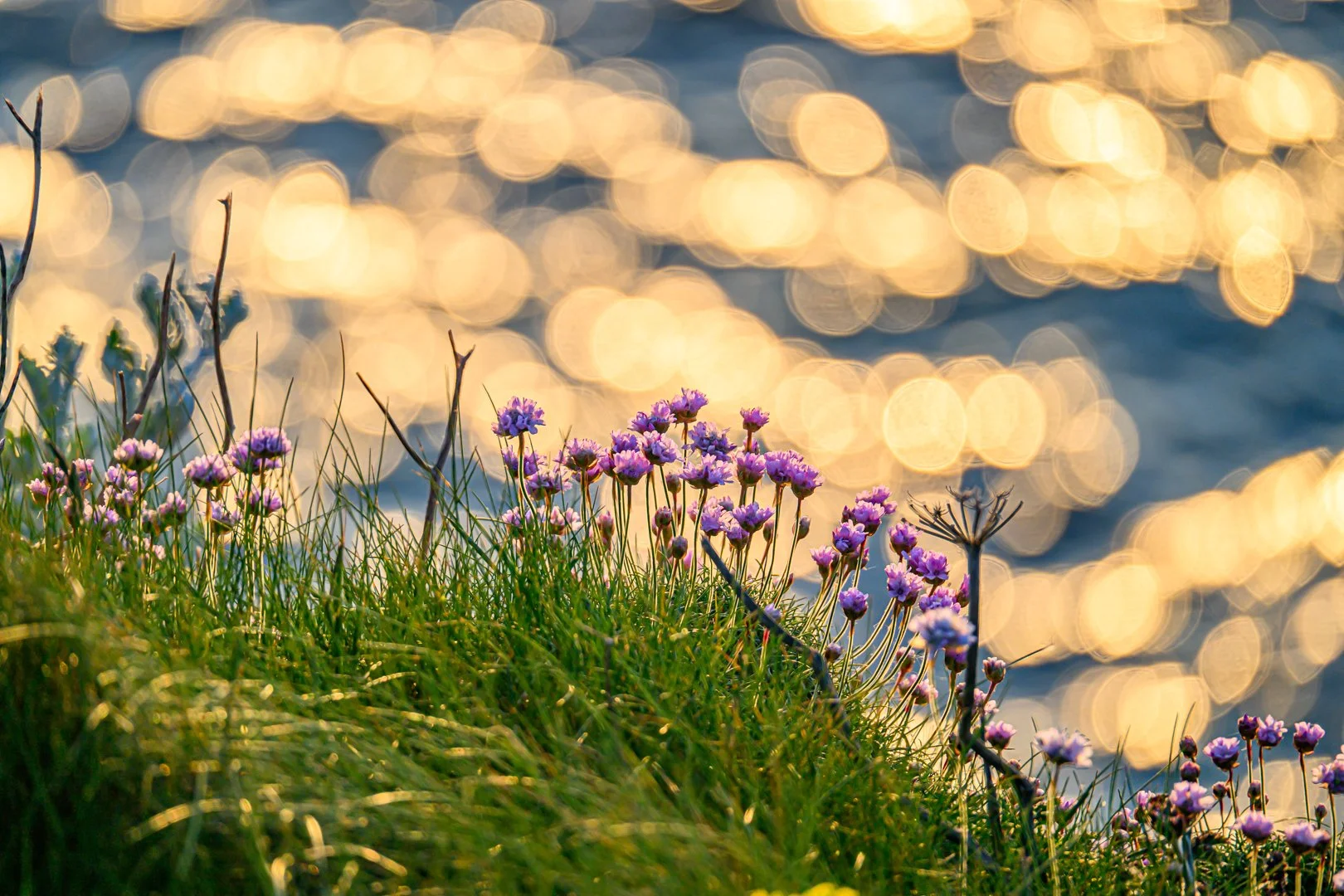 Pano1 (37 of 92).jpg