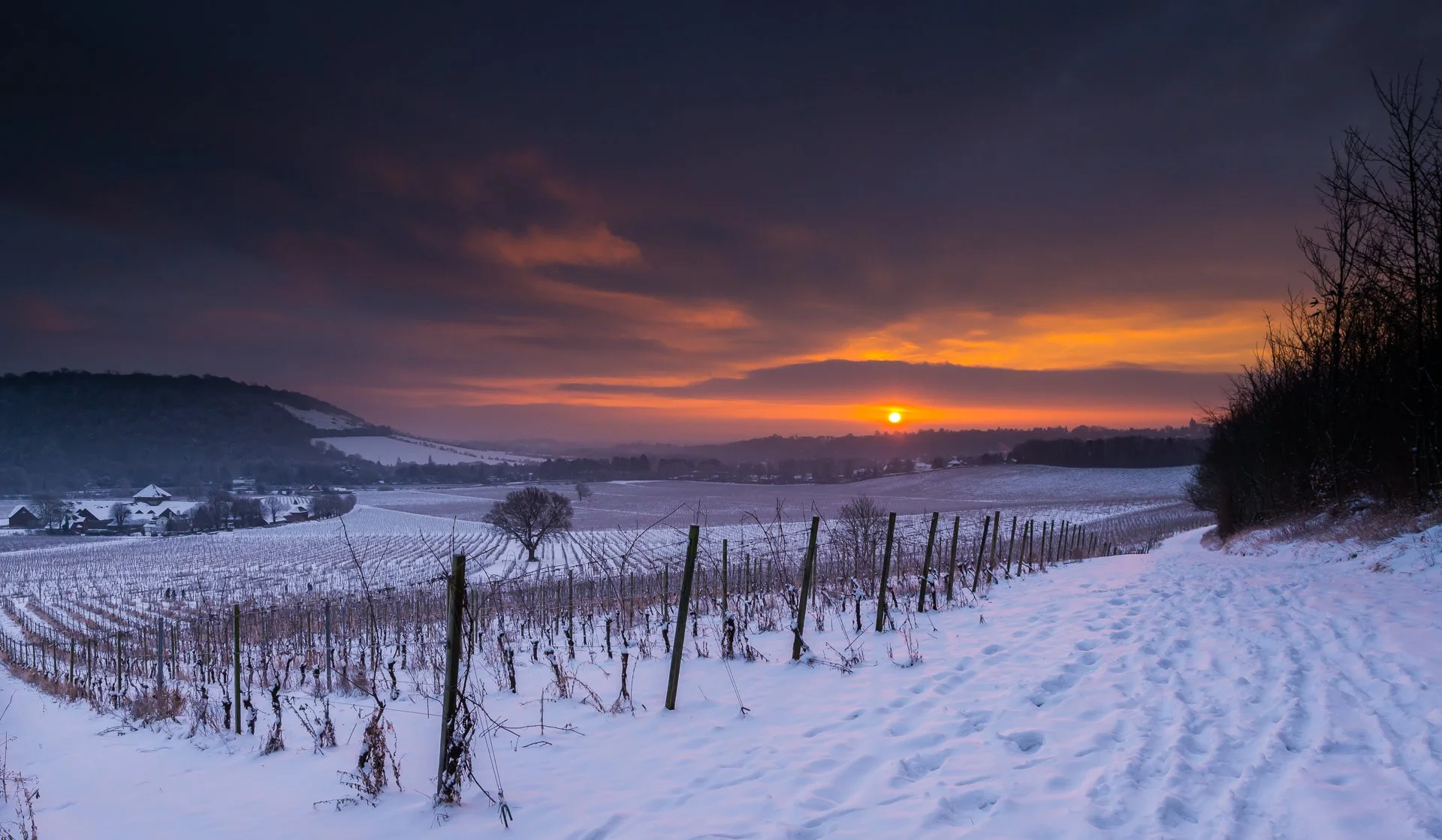 Denbies Wine Estate in Dorking Surrey. I used to work a few miles from here so this was taken early before work one day.