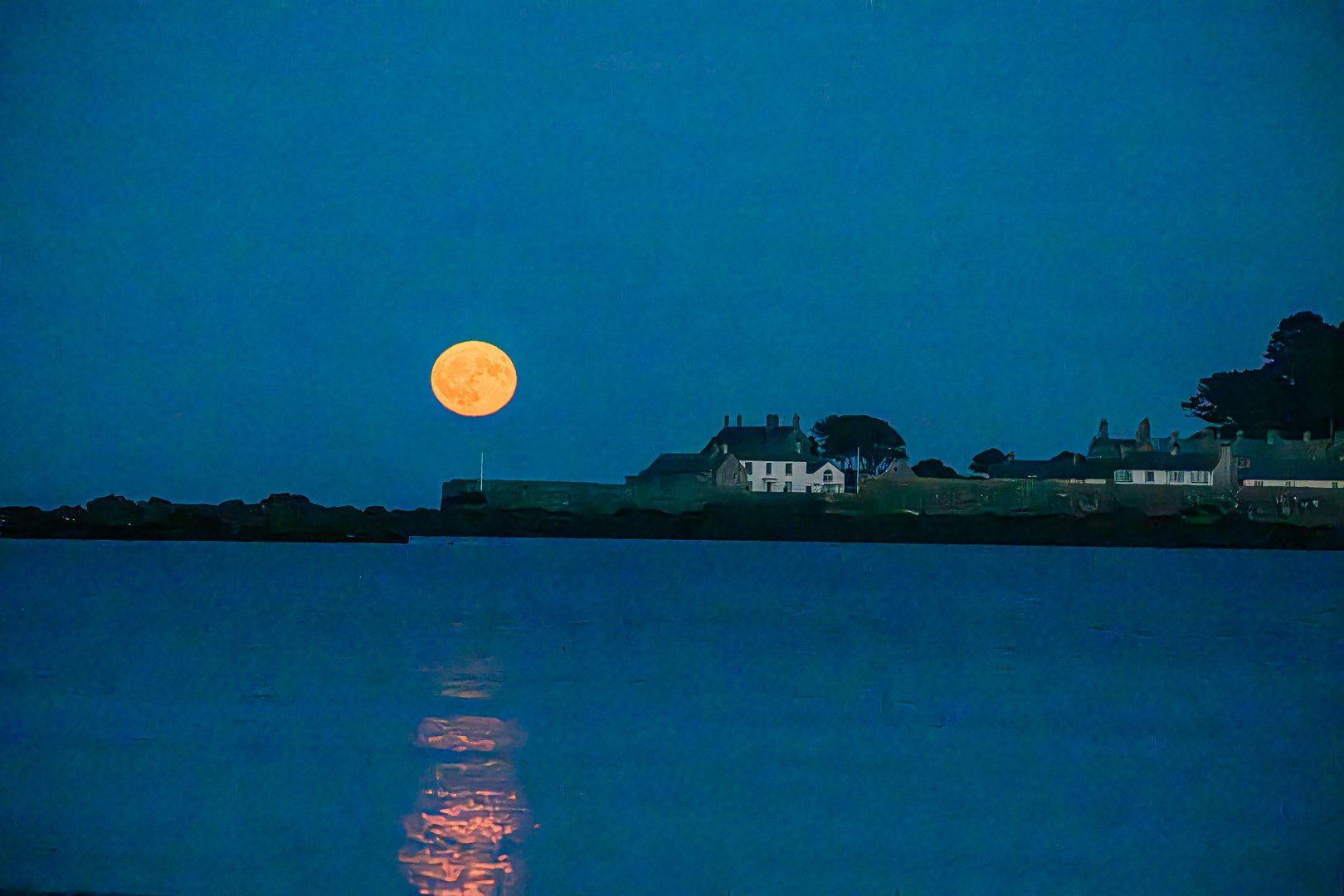 untitled (100 of 176).jpg