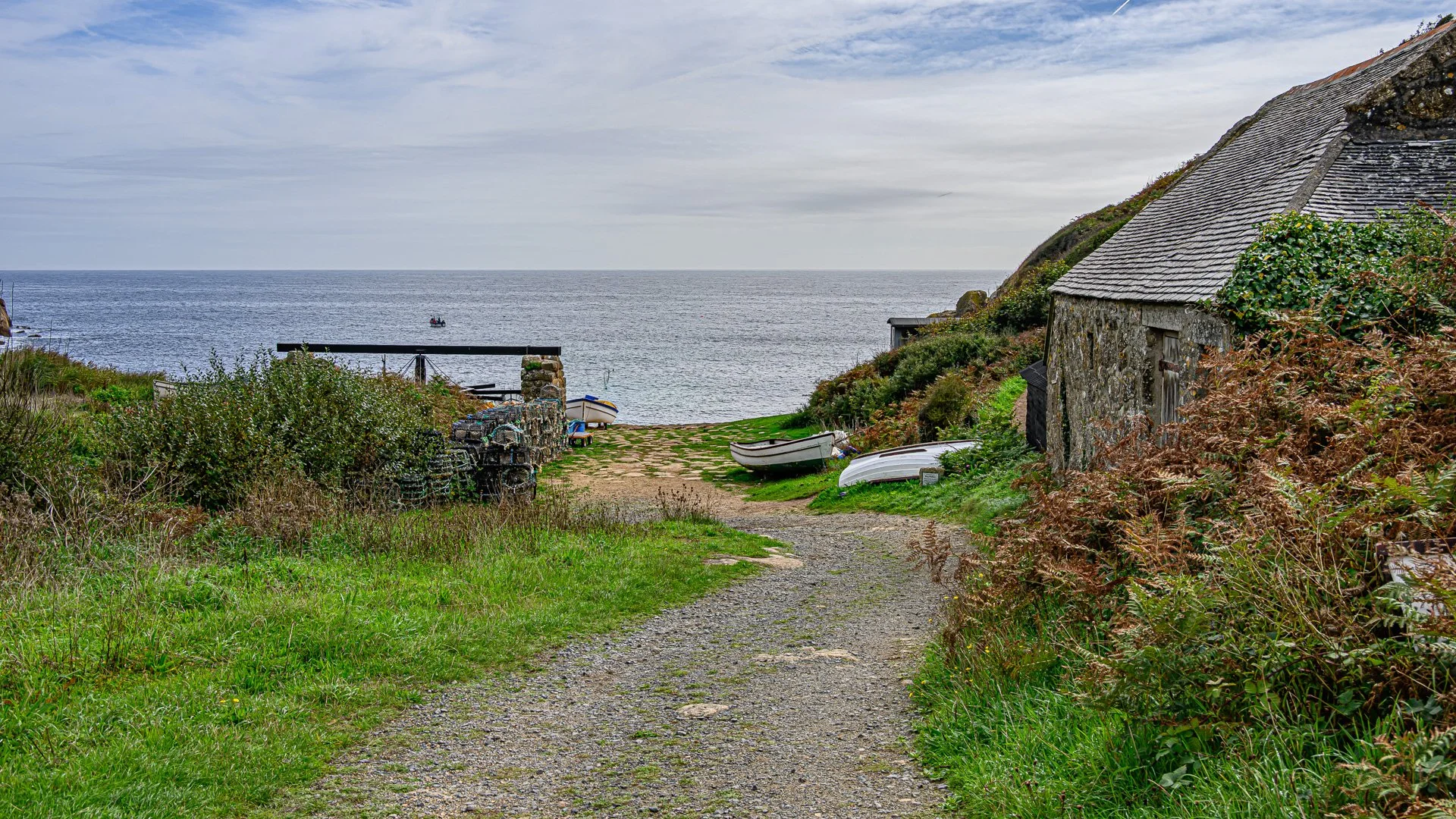 _NC87162-1.jpg