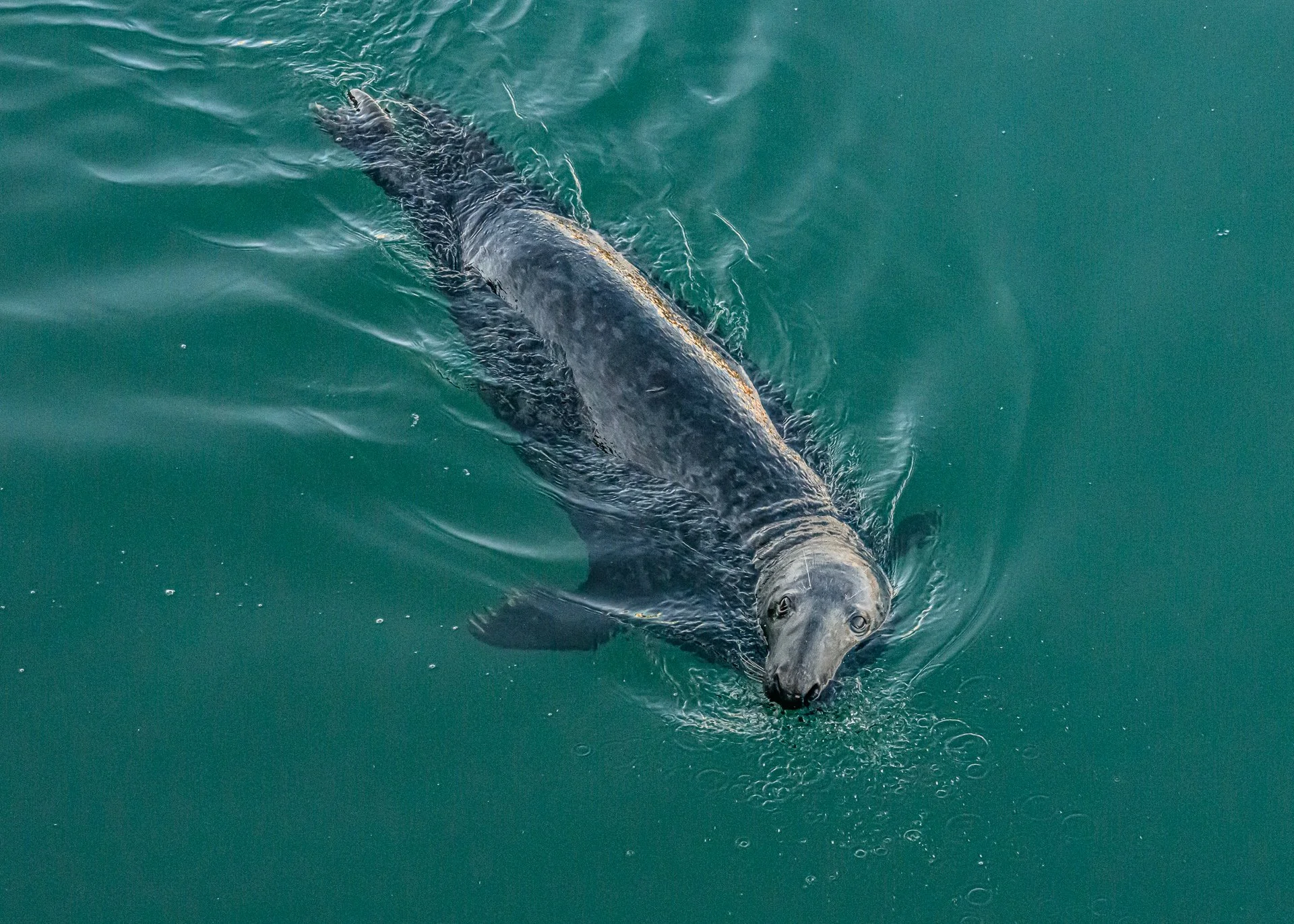 untitled (119 of 177)-219.jpg