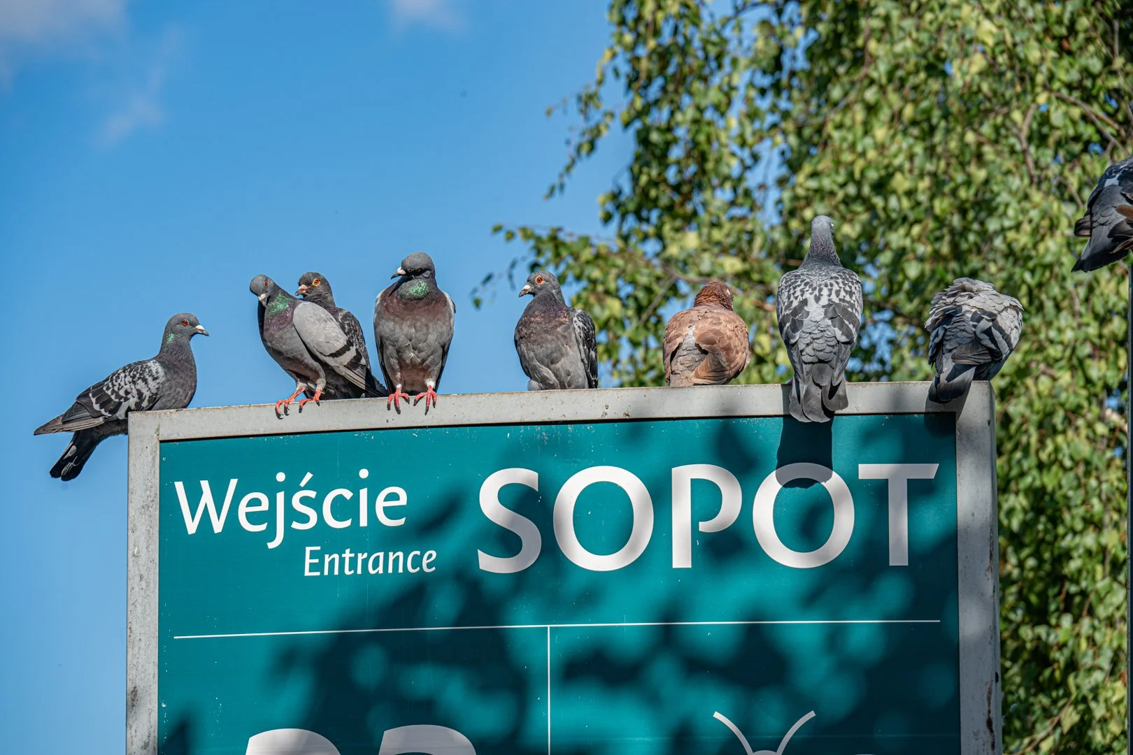 untitled (83 of 130).jpg