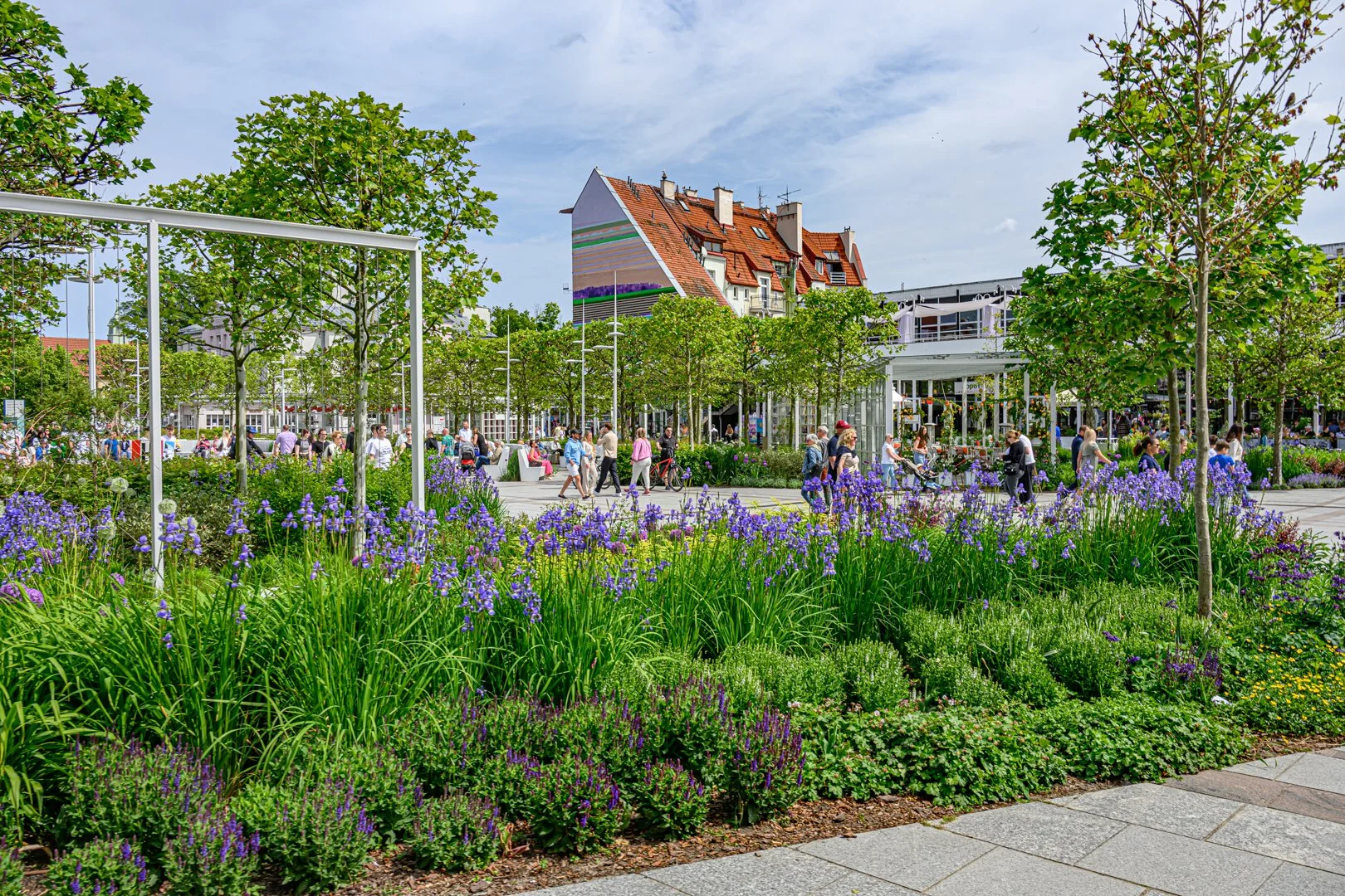 untitled (161 of 274).jpg