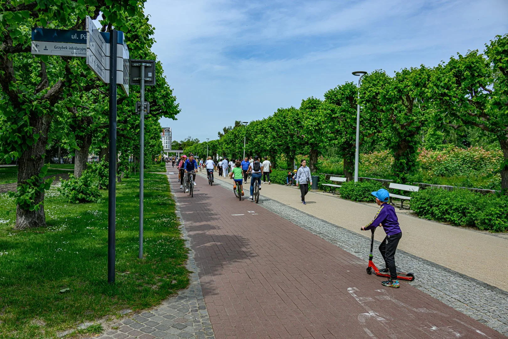 untitled (120 of 274).jpg