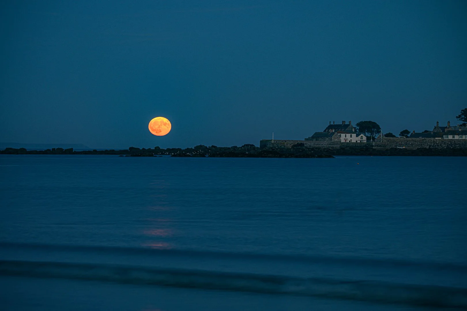 untitled (93 of 176).jpg