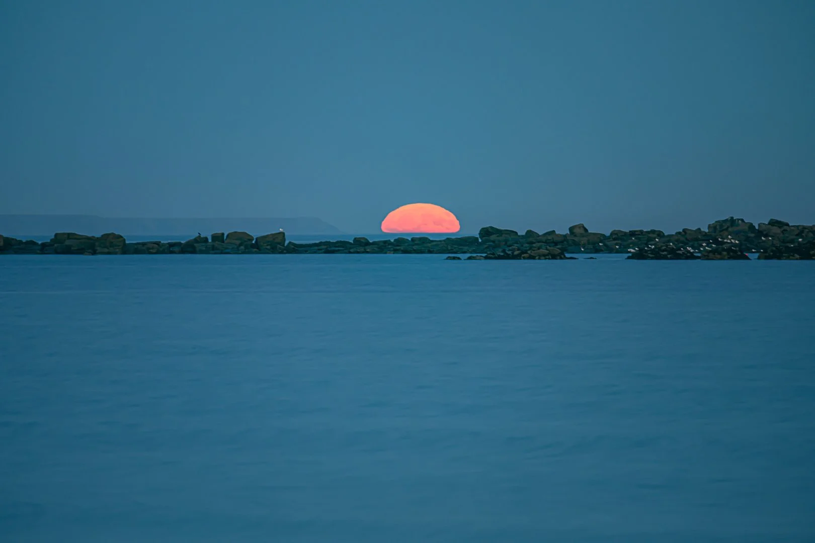 untitled (85 of 176).jpg