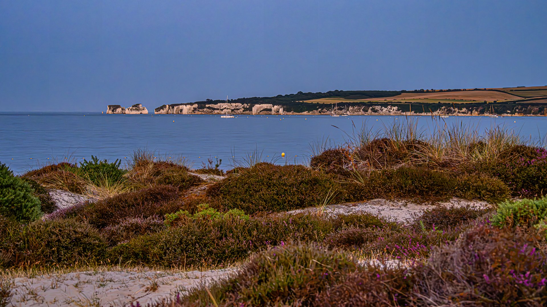 _NC85983-1.jpg