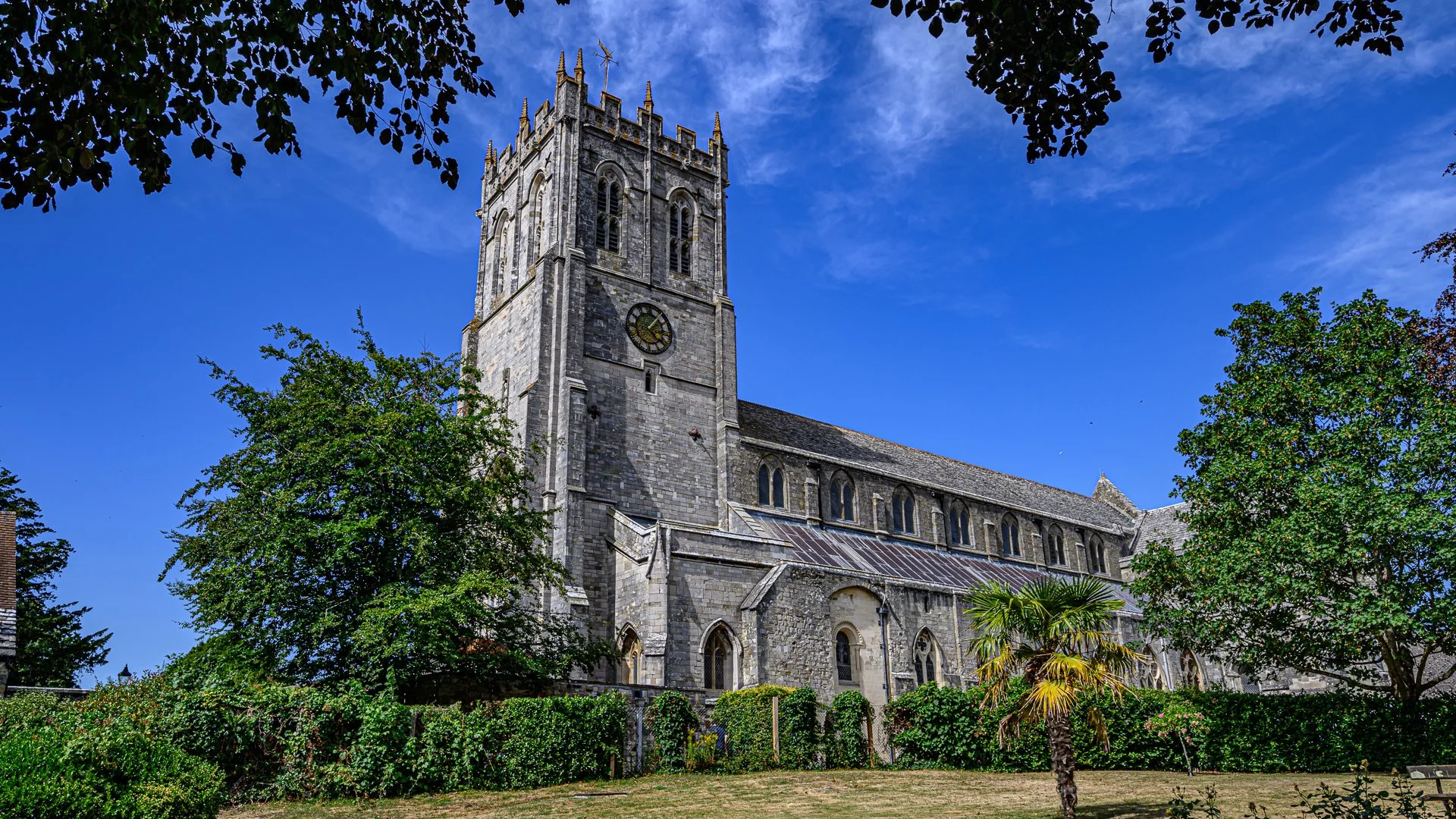 _NC85817-1.jpg