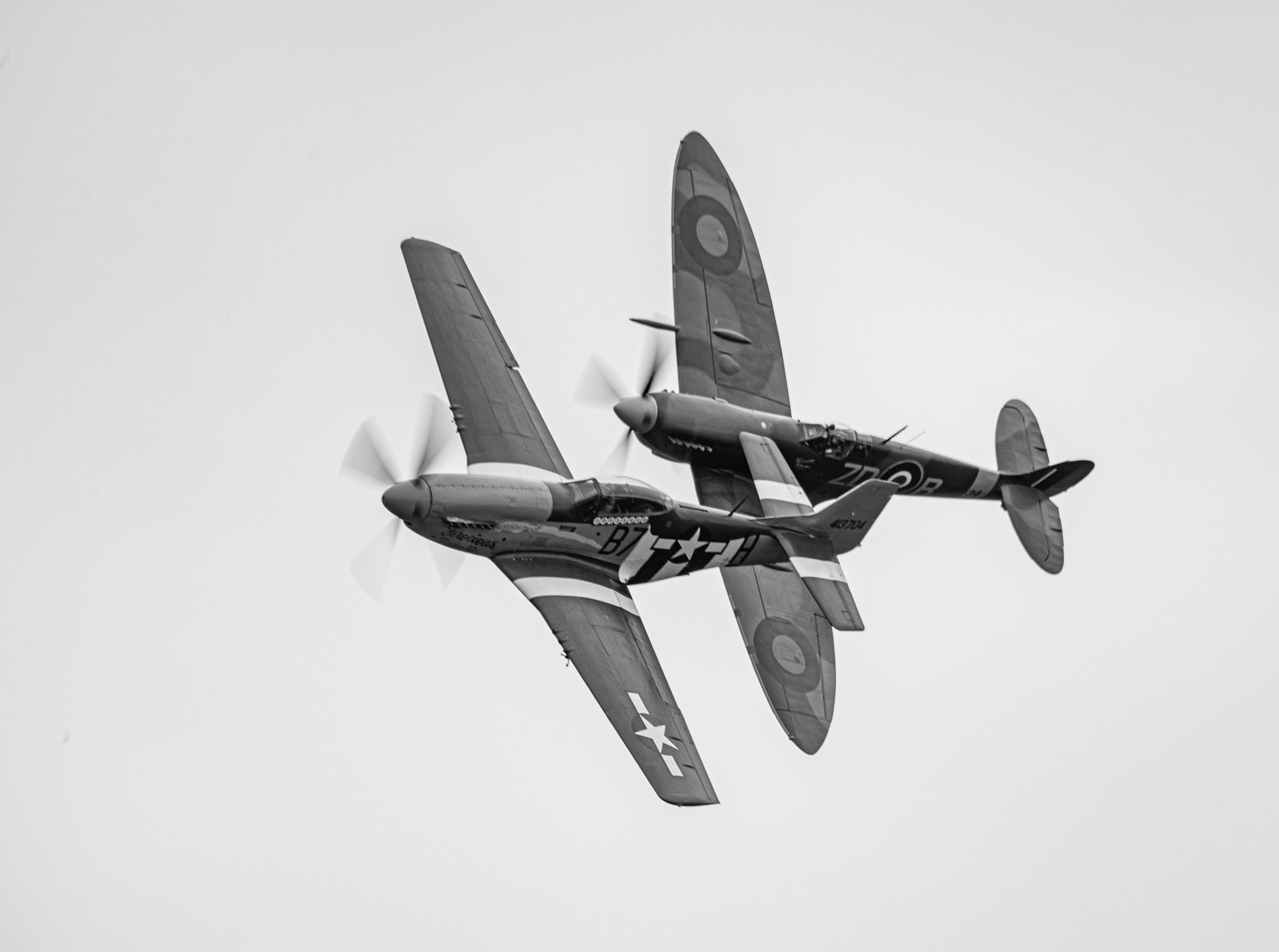 SEP_5398-1.jpg
