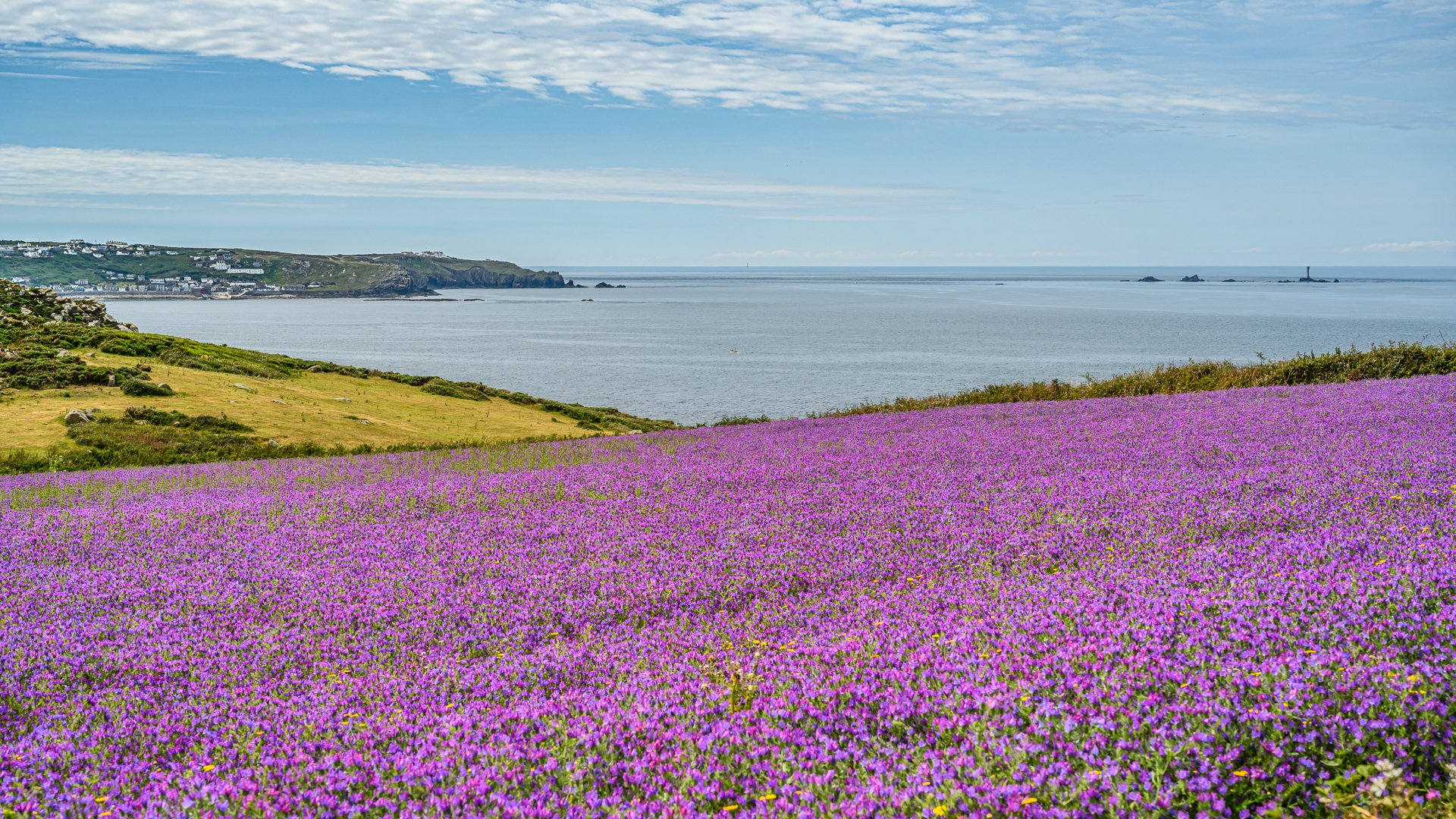 NZ7_7540-1.jpg