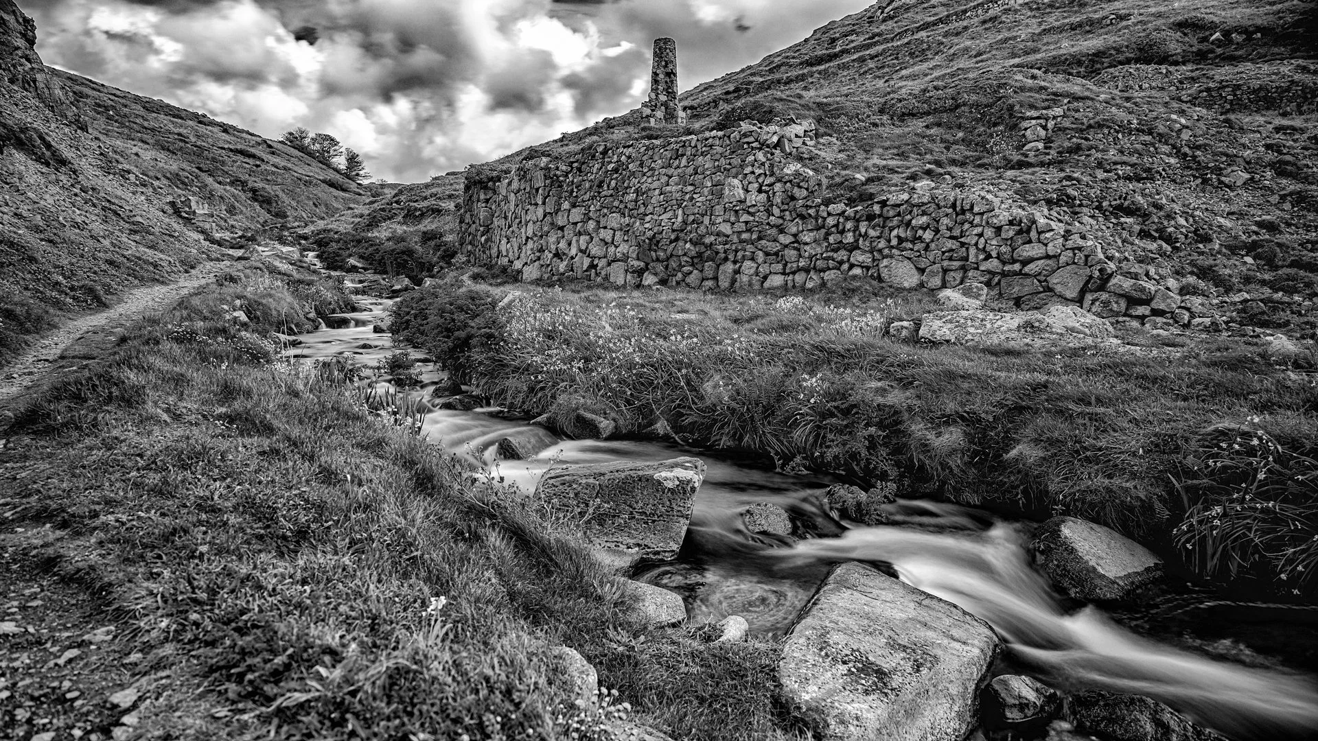 _NC81400-Edit-2-Edit.jpg