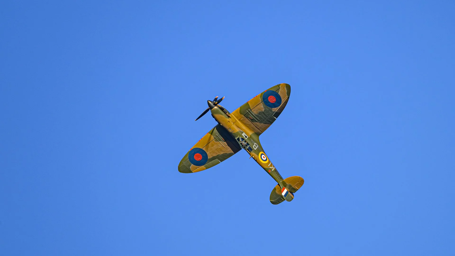 _NC83662-1.jpg