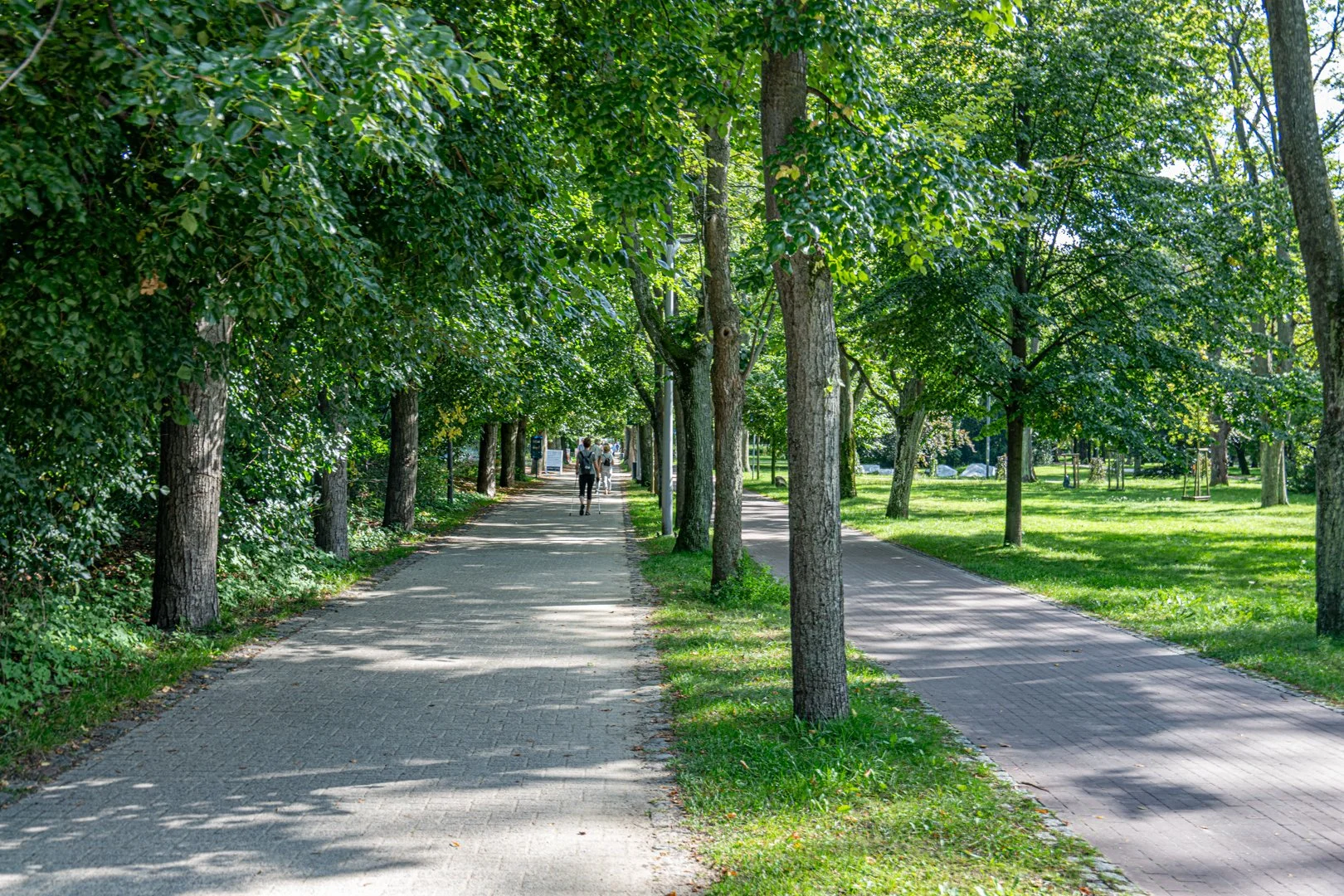 untitled (40 of 130).jpg