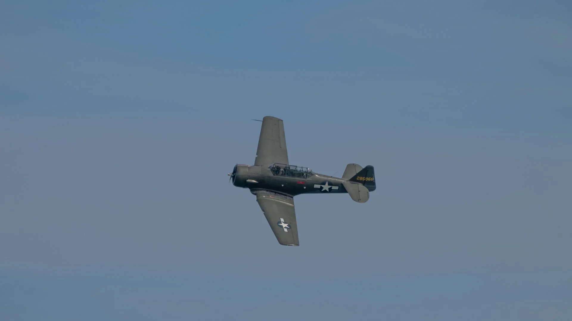 _NC84650-65.jpg