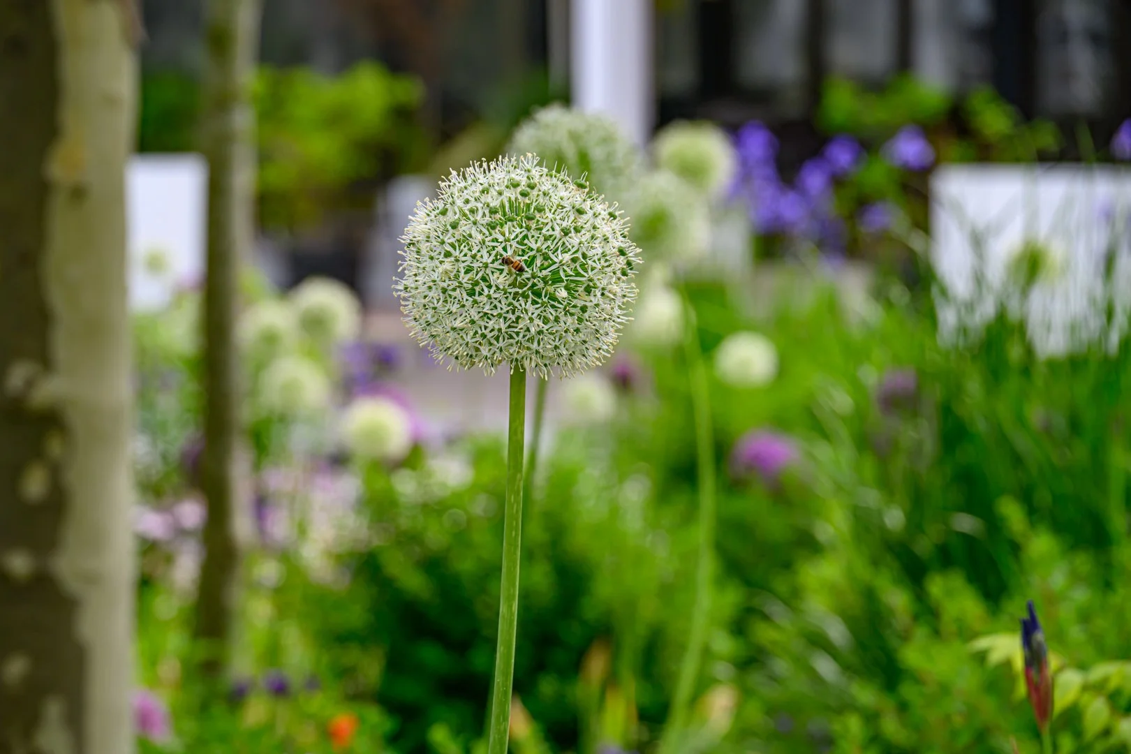 untitled (81 of 274).jpg