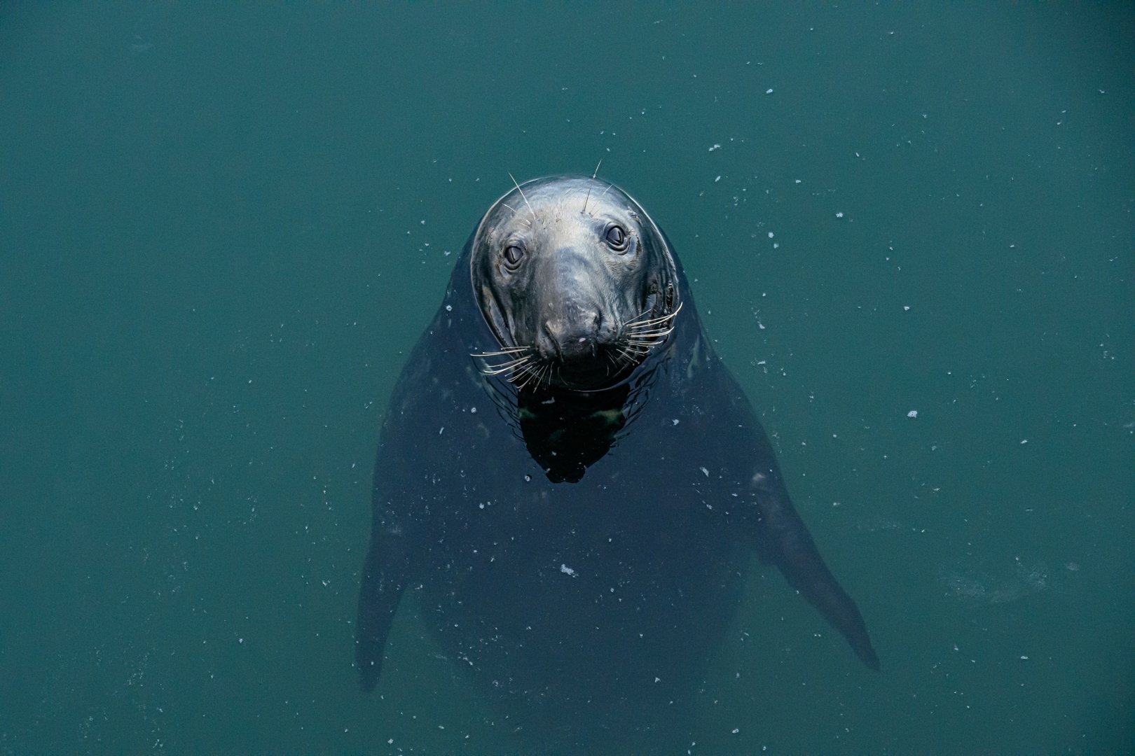 untitled (101 of 177).jpg