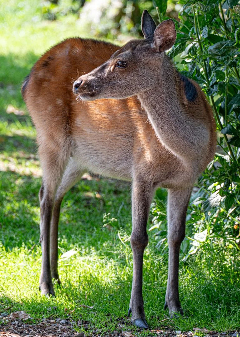 untitled (93 of 219).jpg