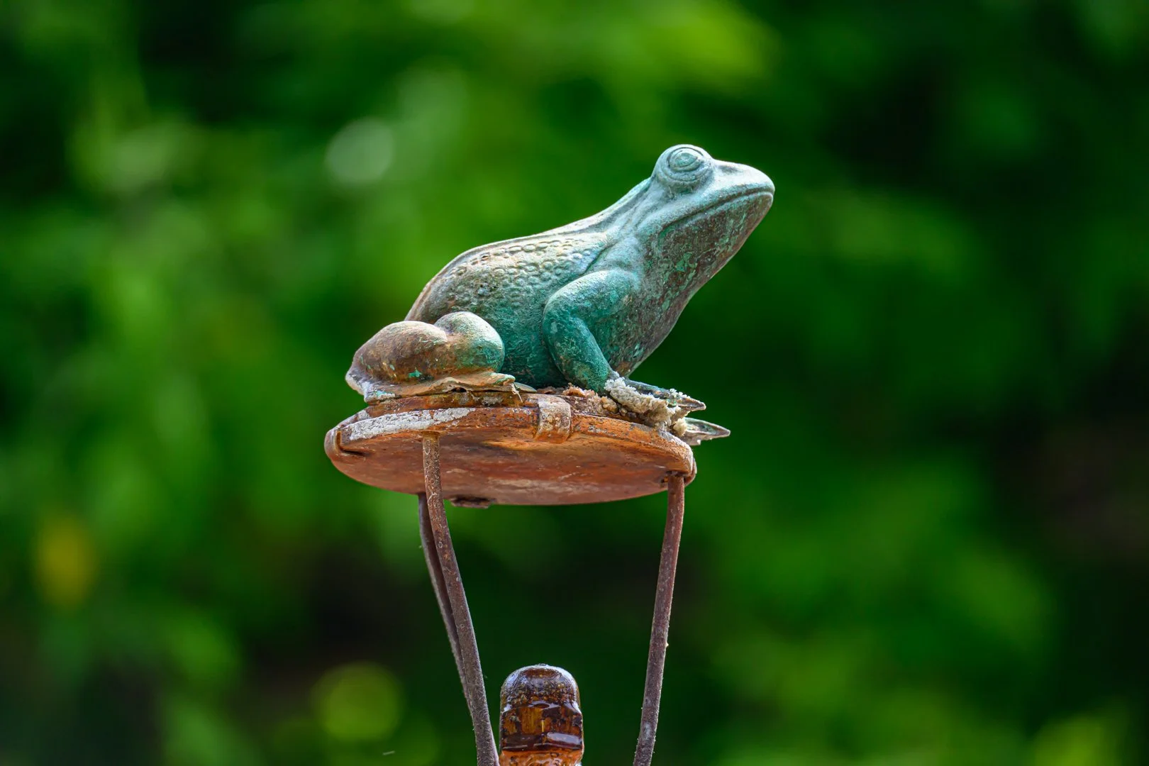 untitled (122 of 274).jpg