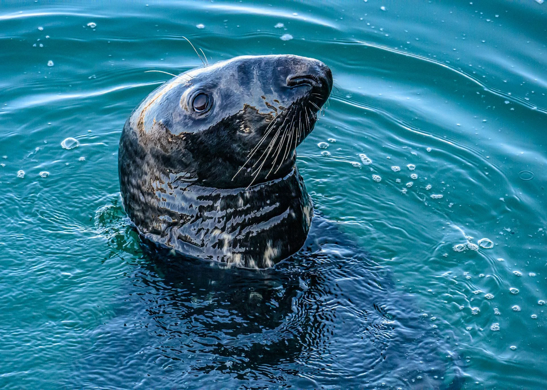 untitled (90 of 177)-218.jpg