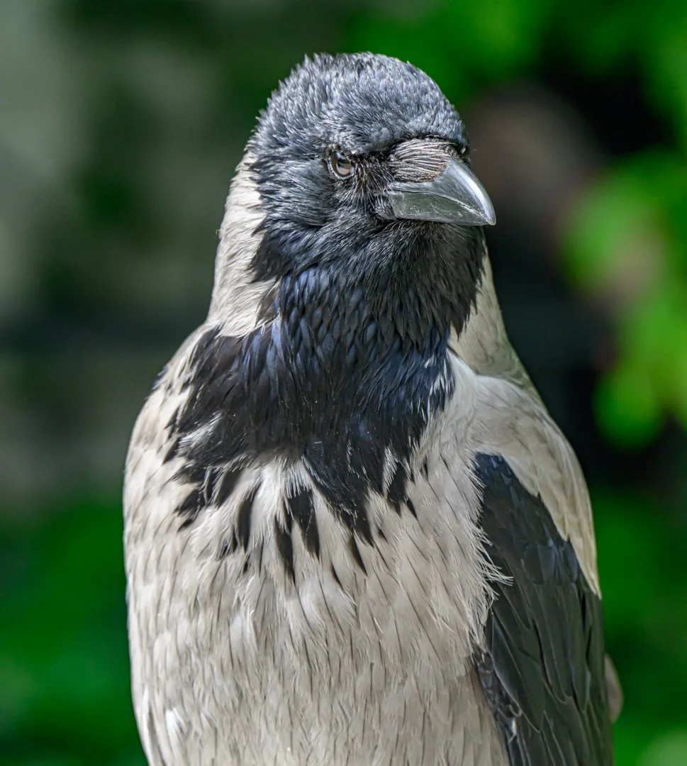 untitled (95 of 274).jpg