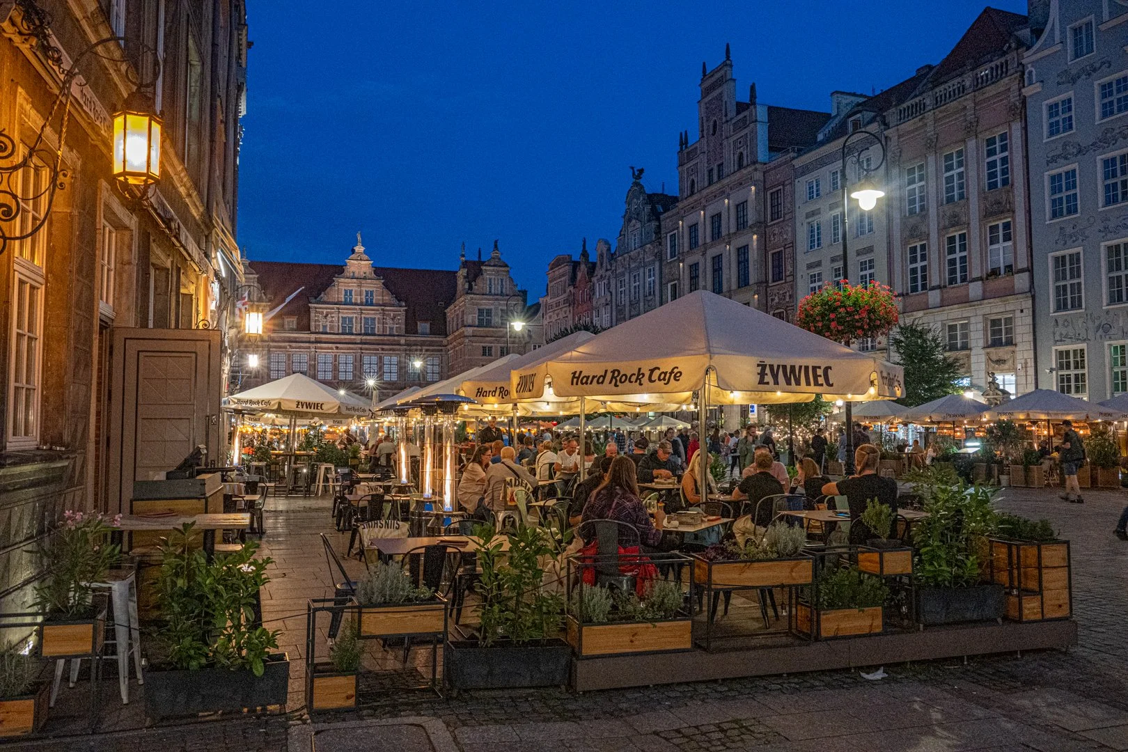 untitled (129 of 245).jpg