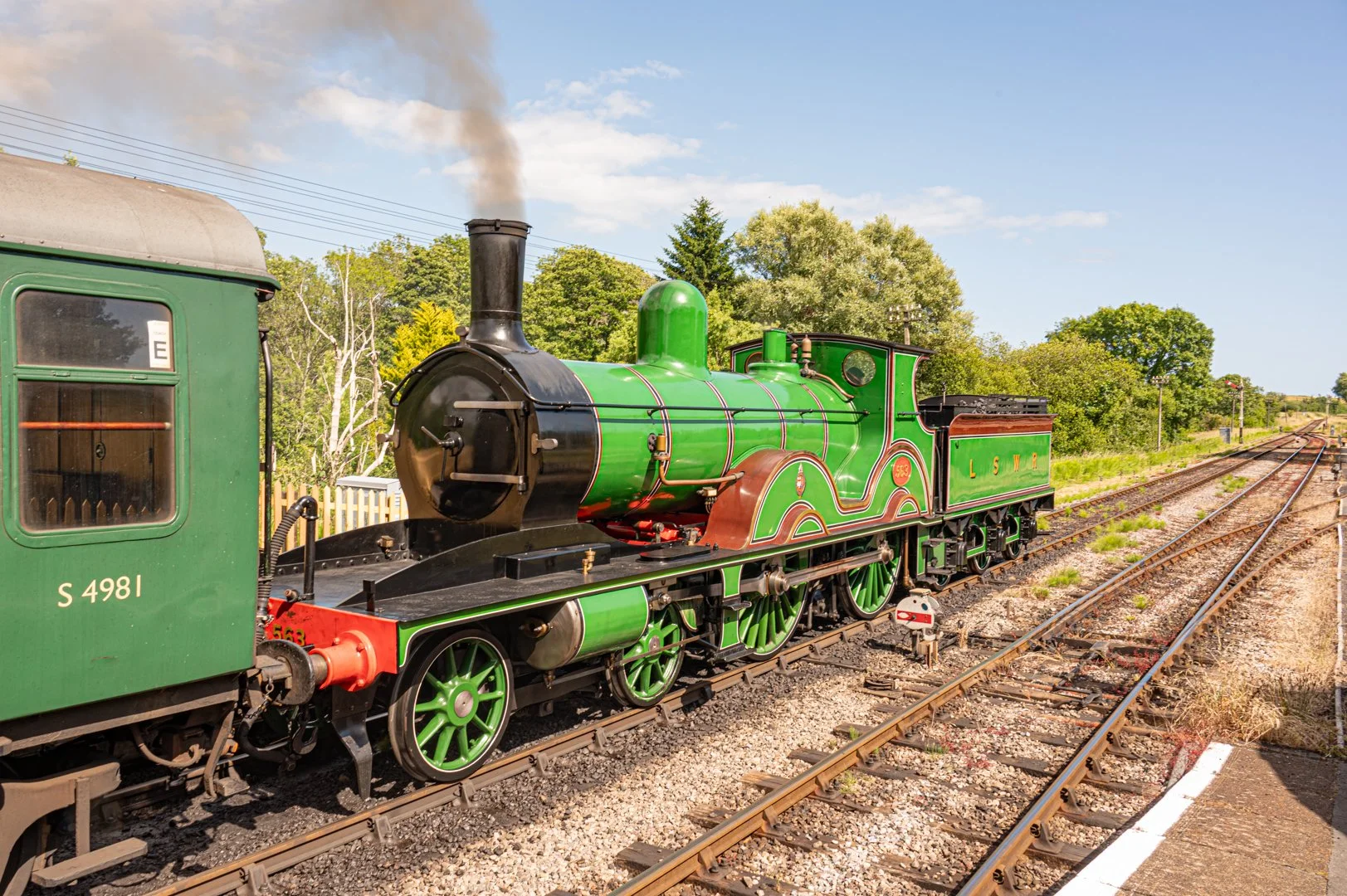 untitled (102 of 186).jpg