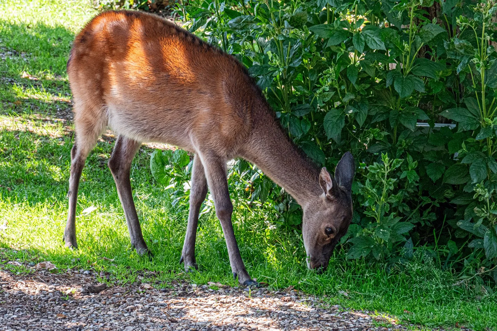 untitled (95 of 219).jpg