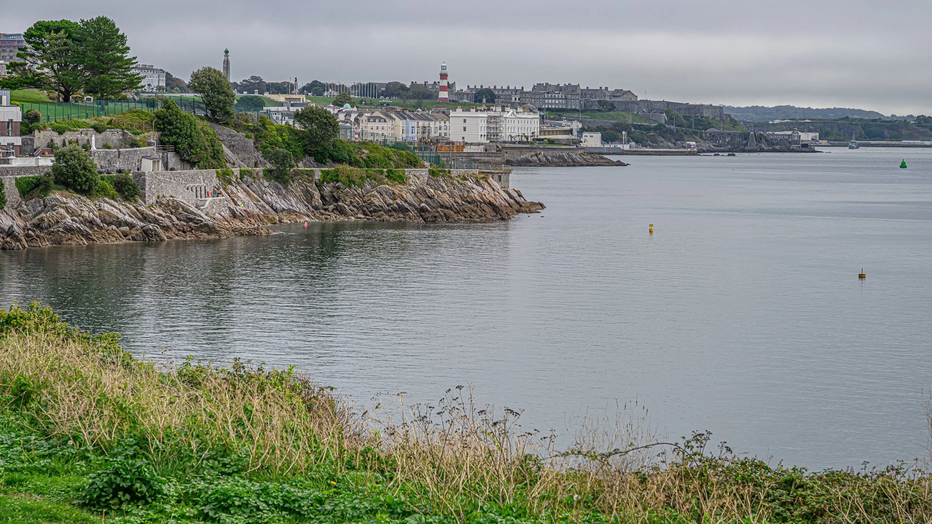 _NC87501-1.jpg