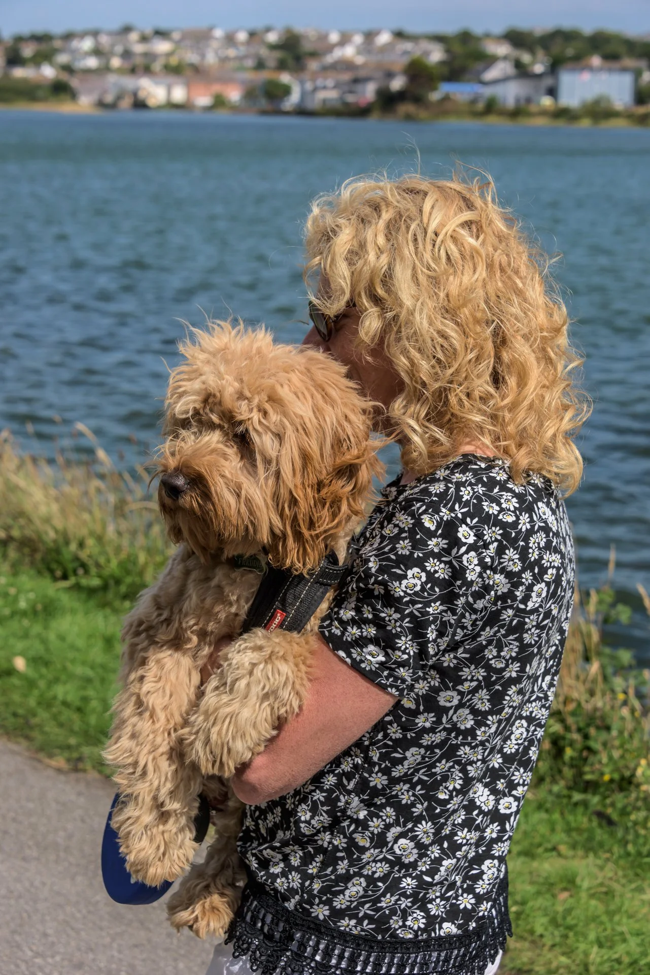 This image got me into trouble as I didn't tell Alison when I entered it into a national pets that look like their owner competition.  Months later I got a phone call to tell me it was in the last ten images. At that point I owned up to what I had do