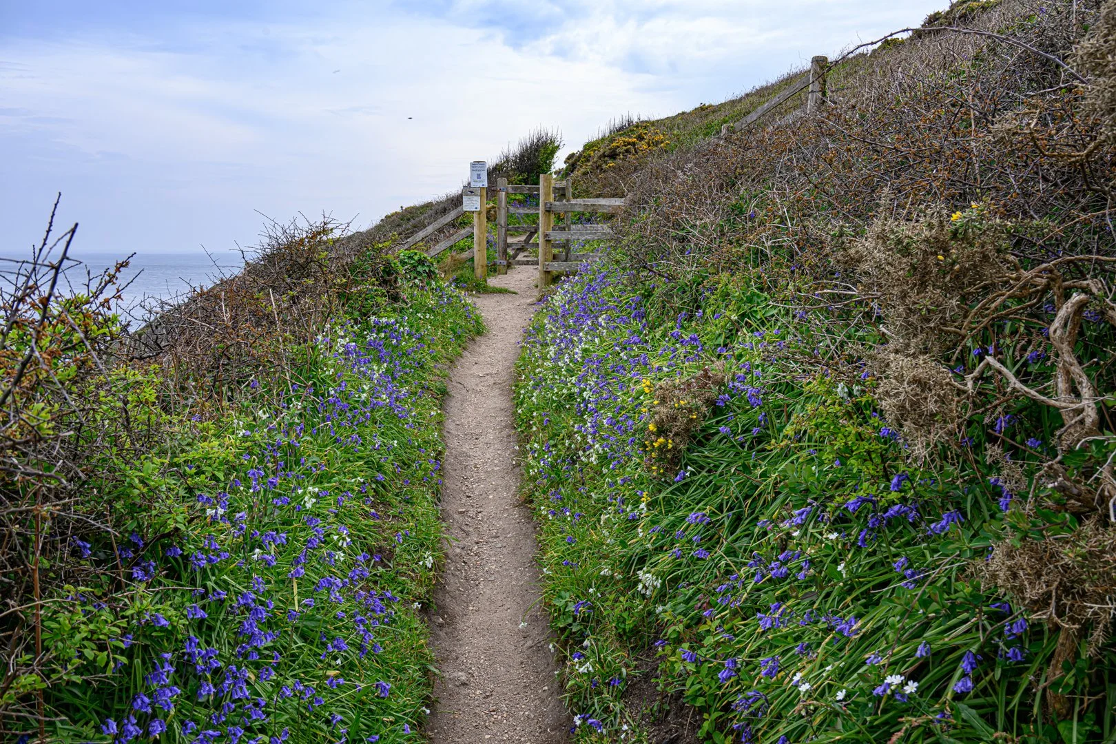 The coast path from Porthgwarra to Land's End