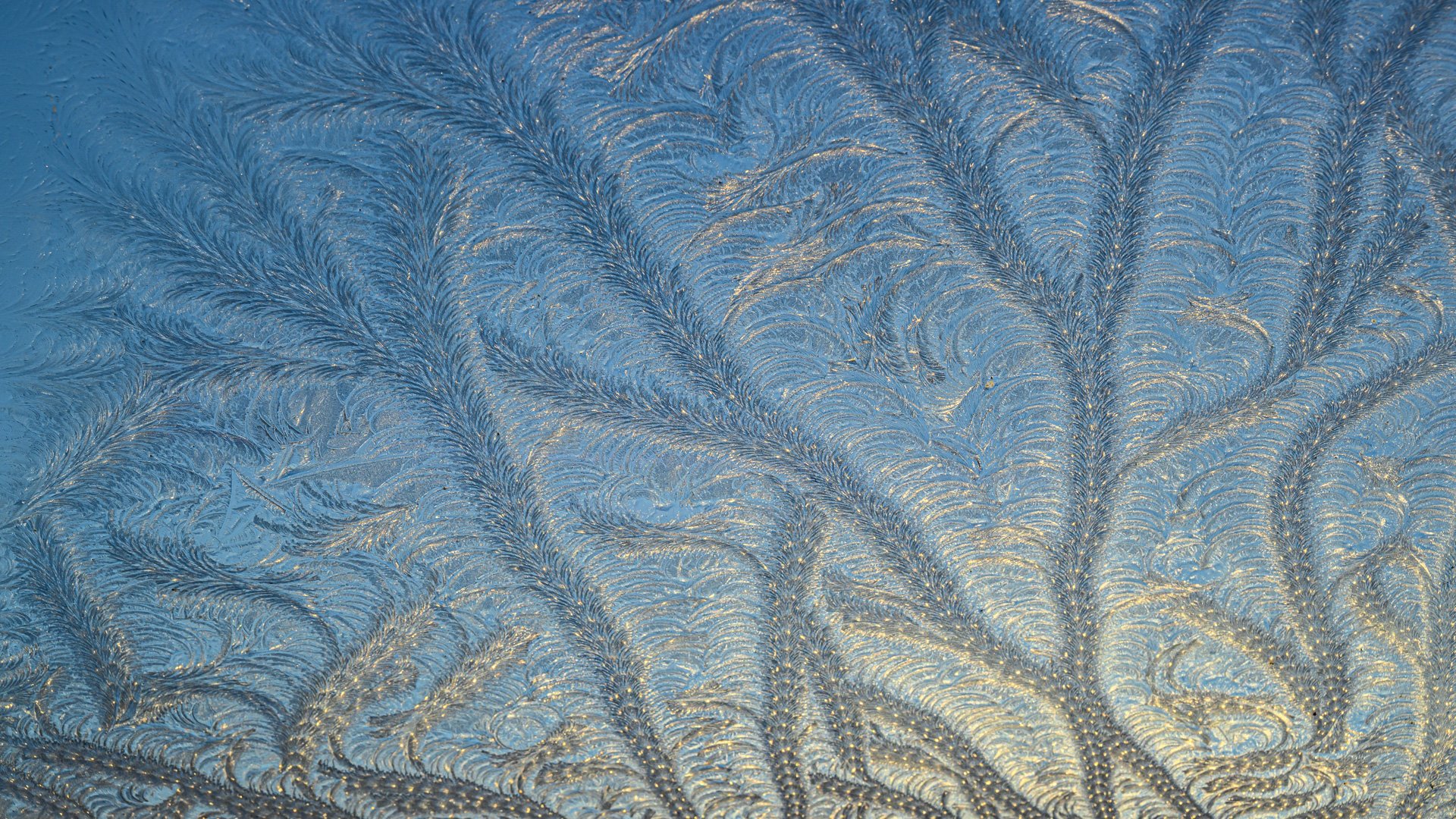 Ice on our conservatory roof early one morning.