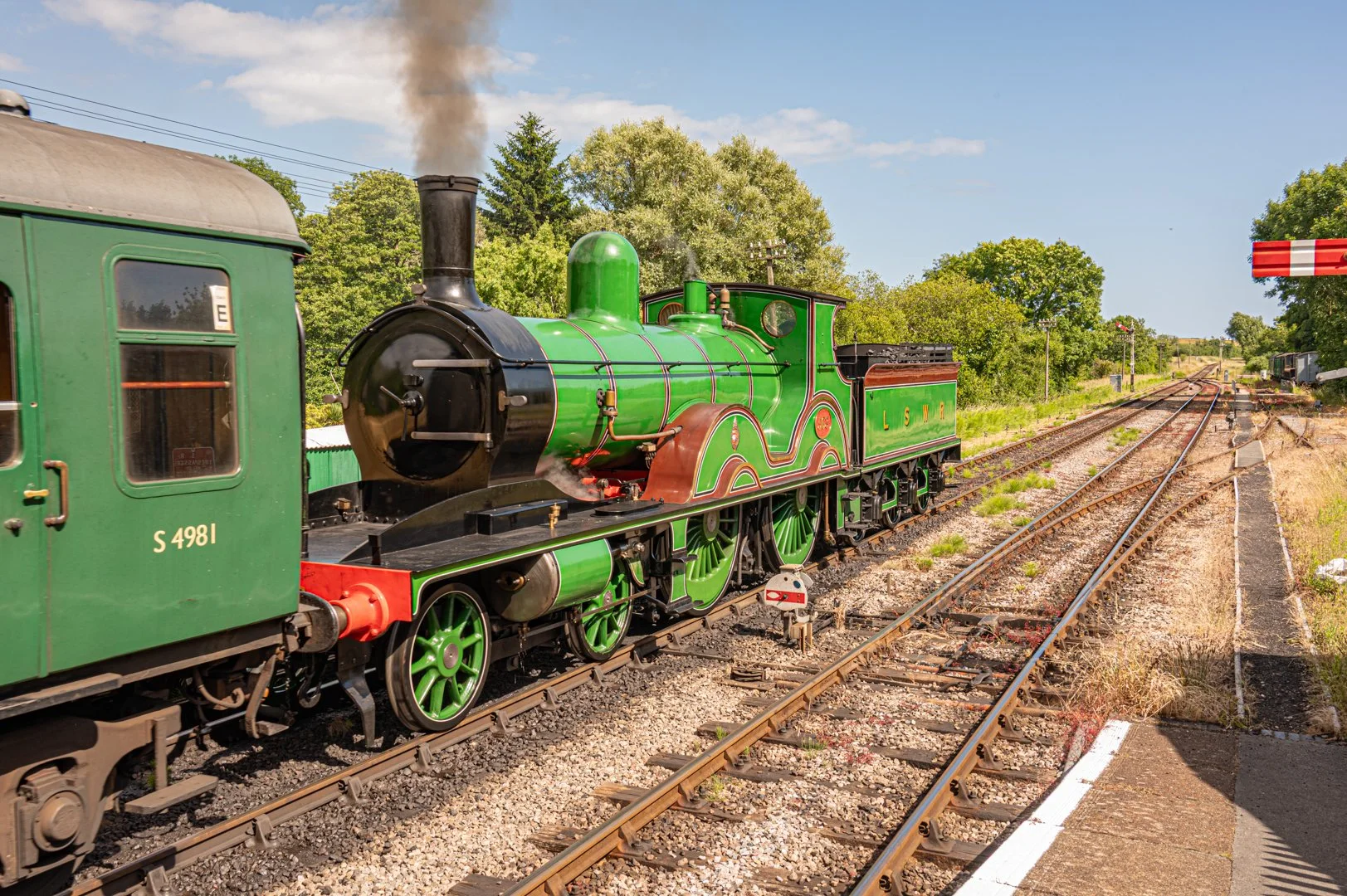 untitled (104 of 186).jpg