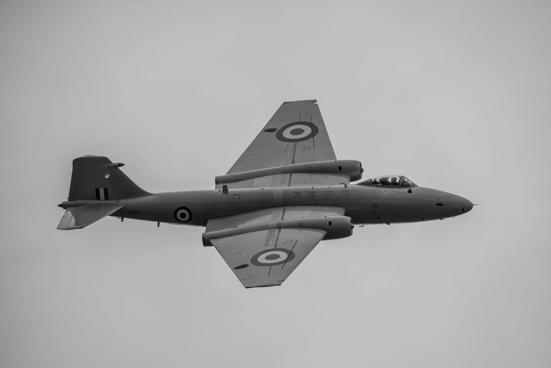 SEP_5574-1.jpg