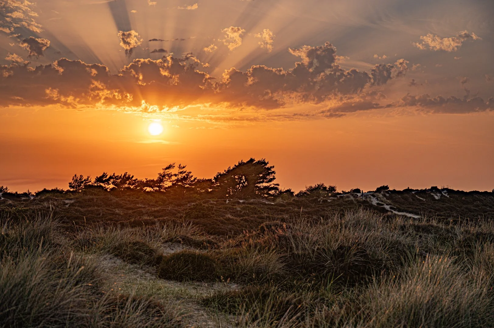 untitled (267 of 283).jpg