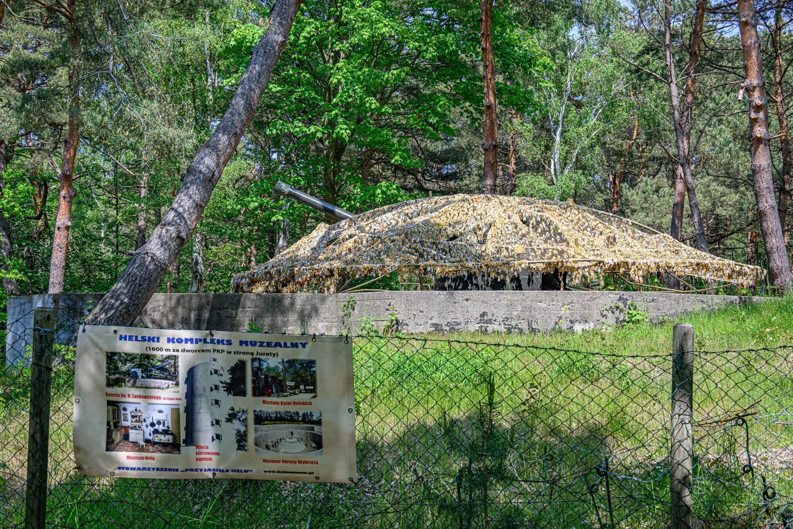 untitled (229 of 274).jpg