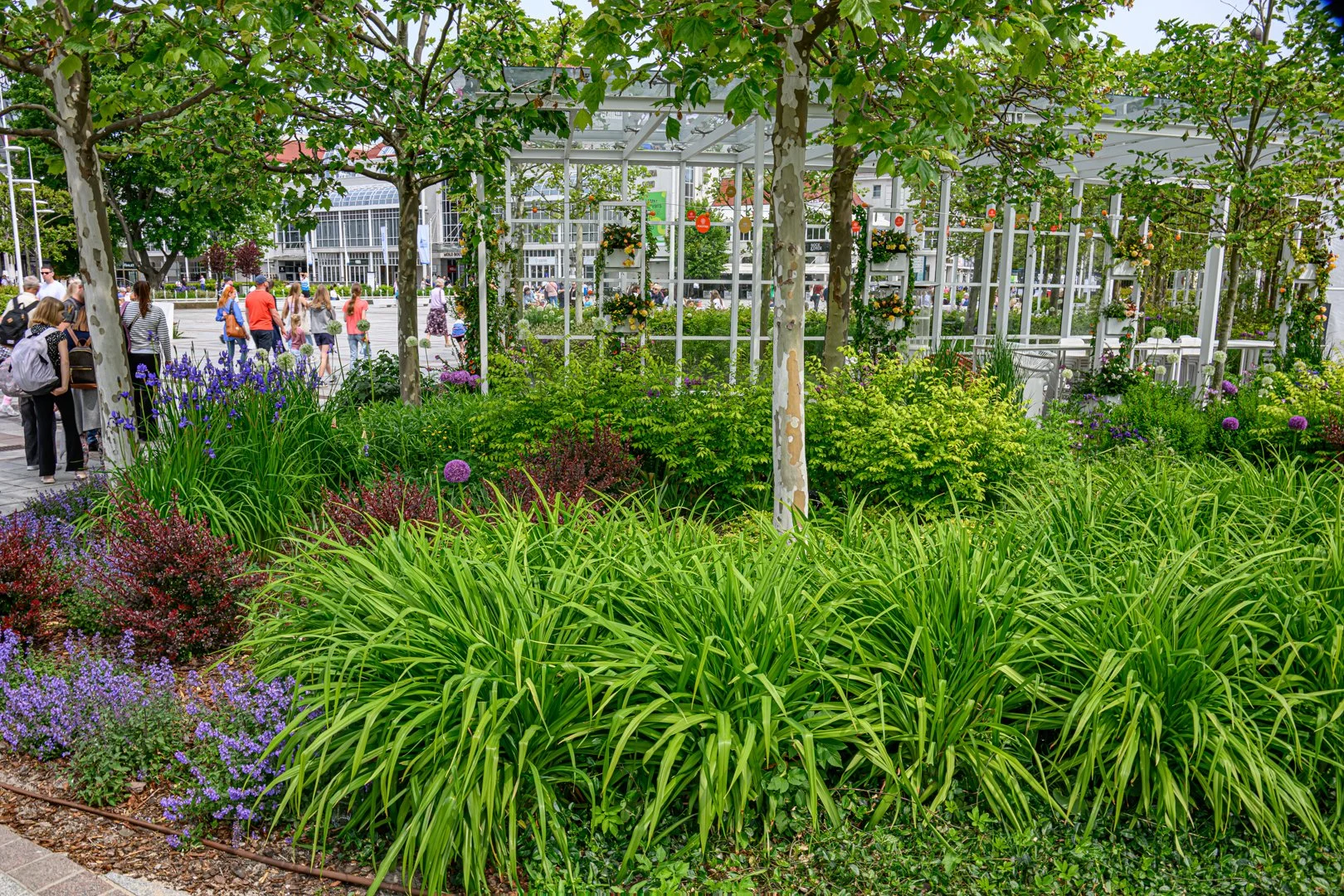 untitled (80 of 274).jpg