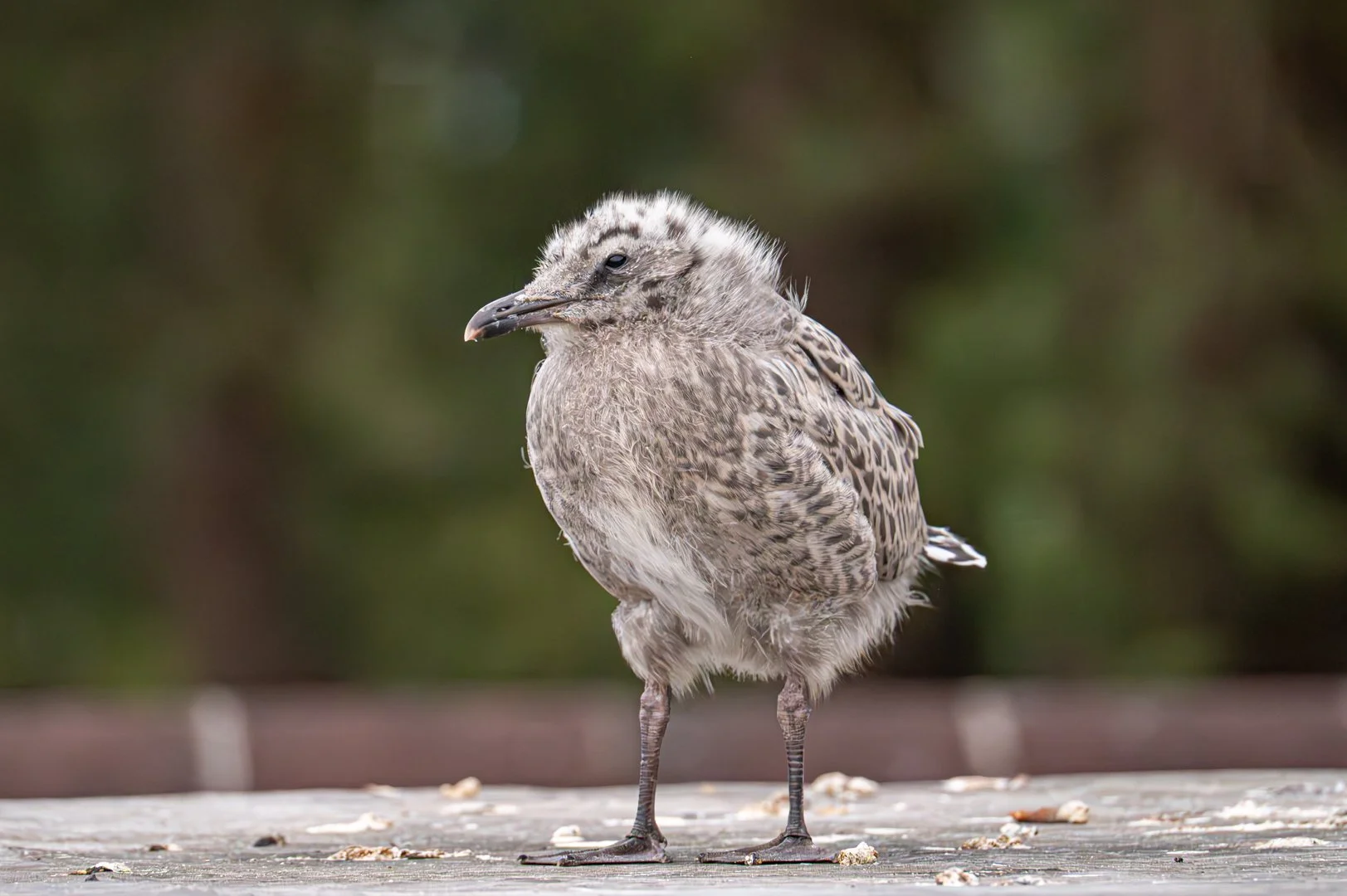 untitled (73 of 186).jpg