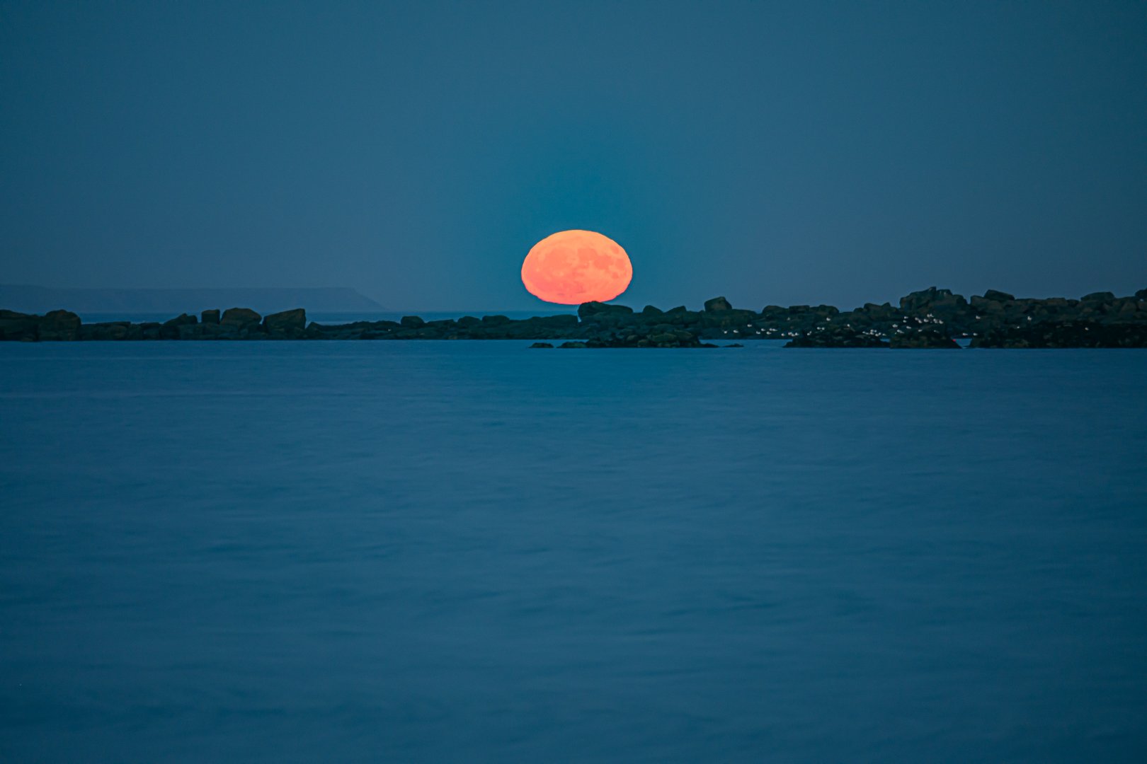 untitled (89 of 176).jpg