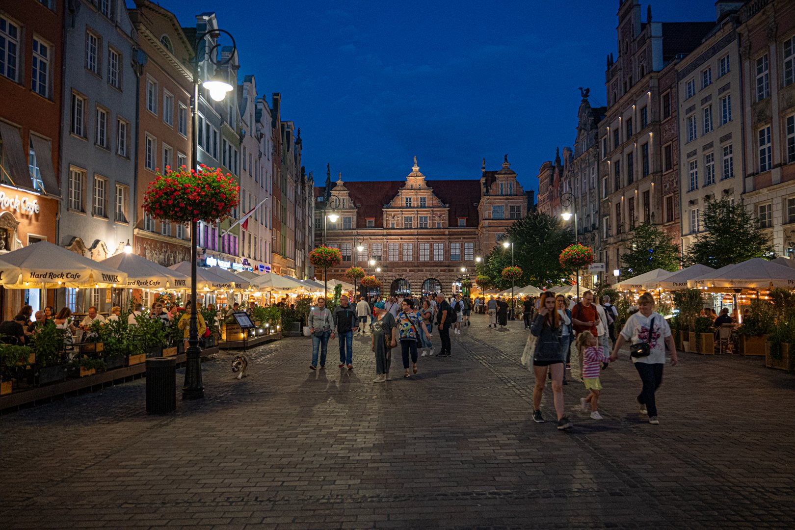 untitled (131 of 245).jpg