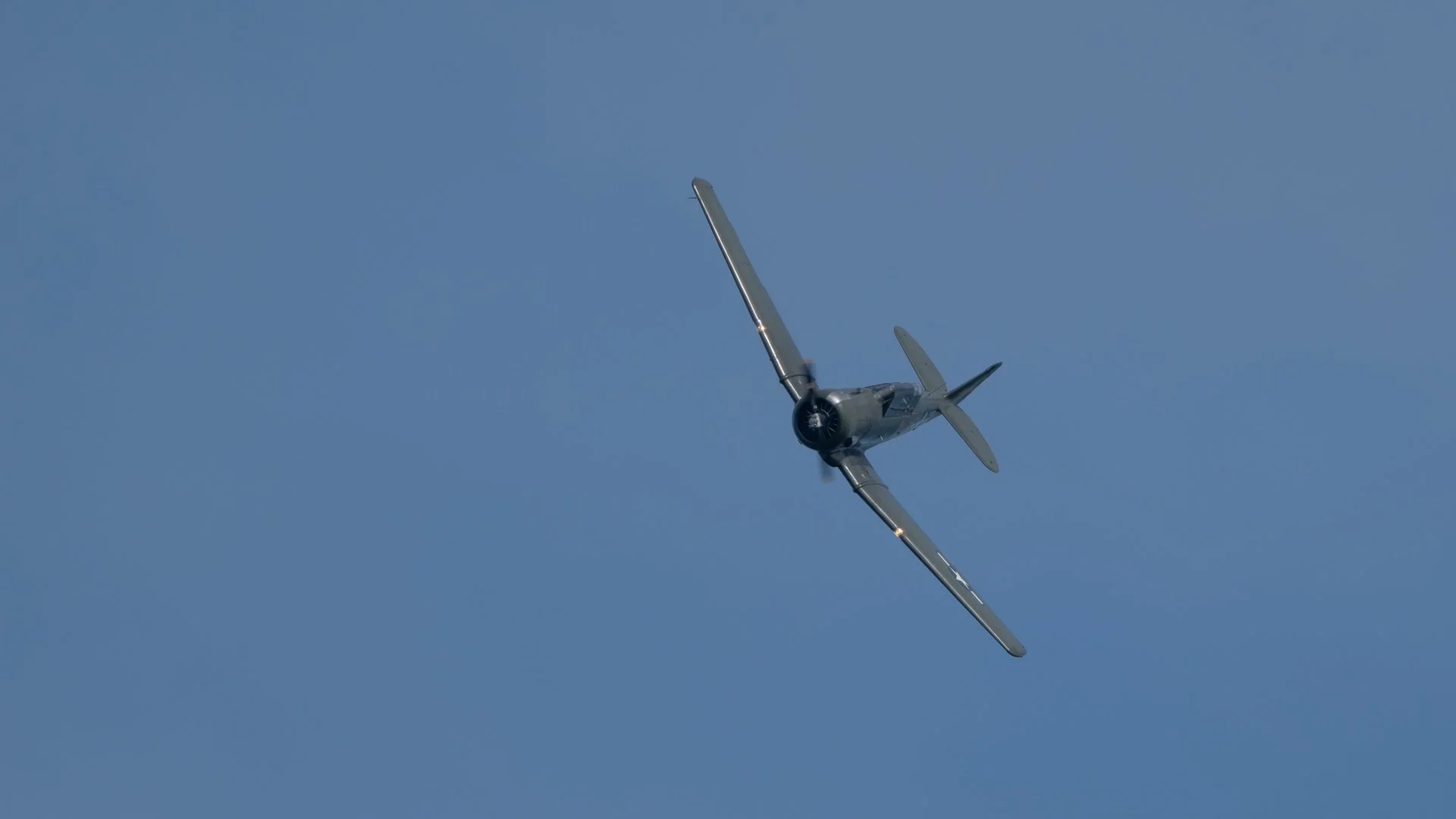 _NC84640-63.jpg