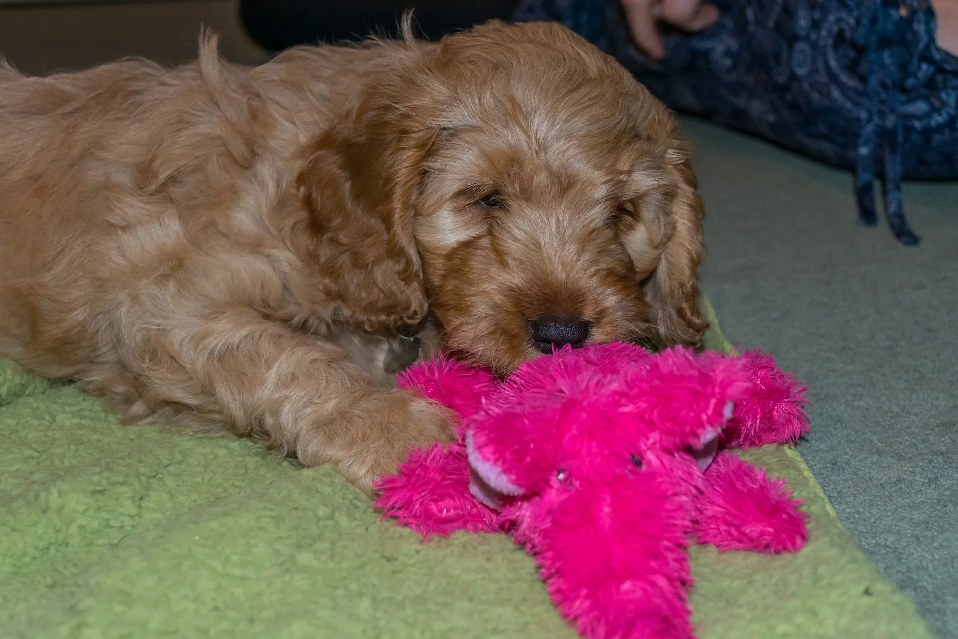 His first toy the day he went to Sandhurst.