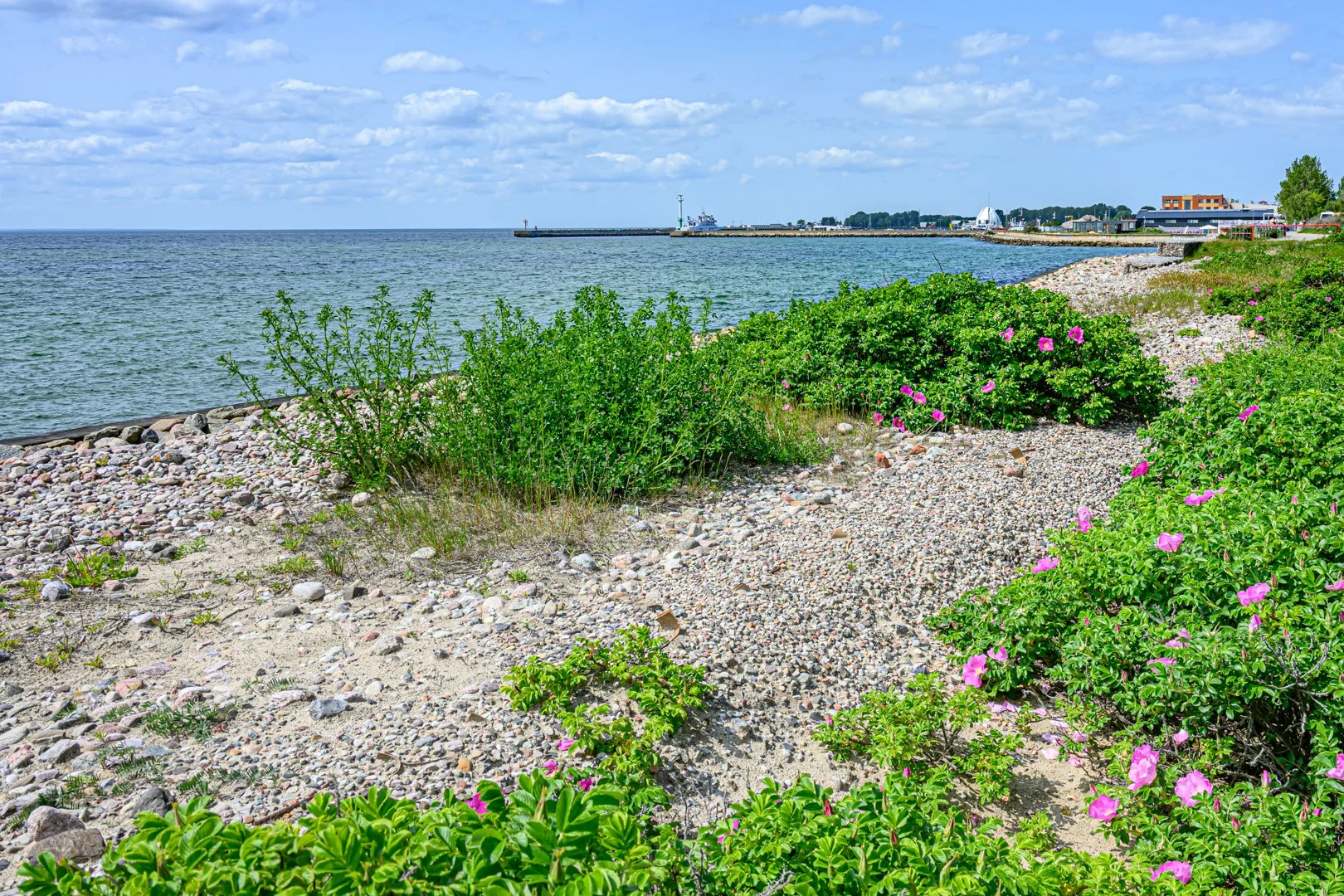 untitled (255 of 274).jpg